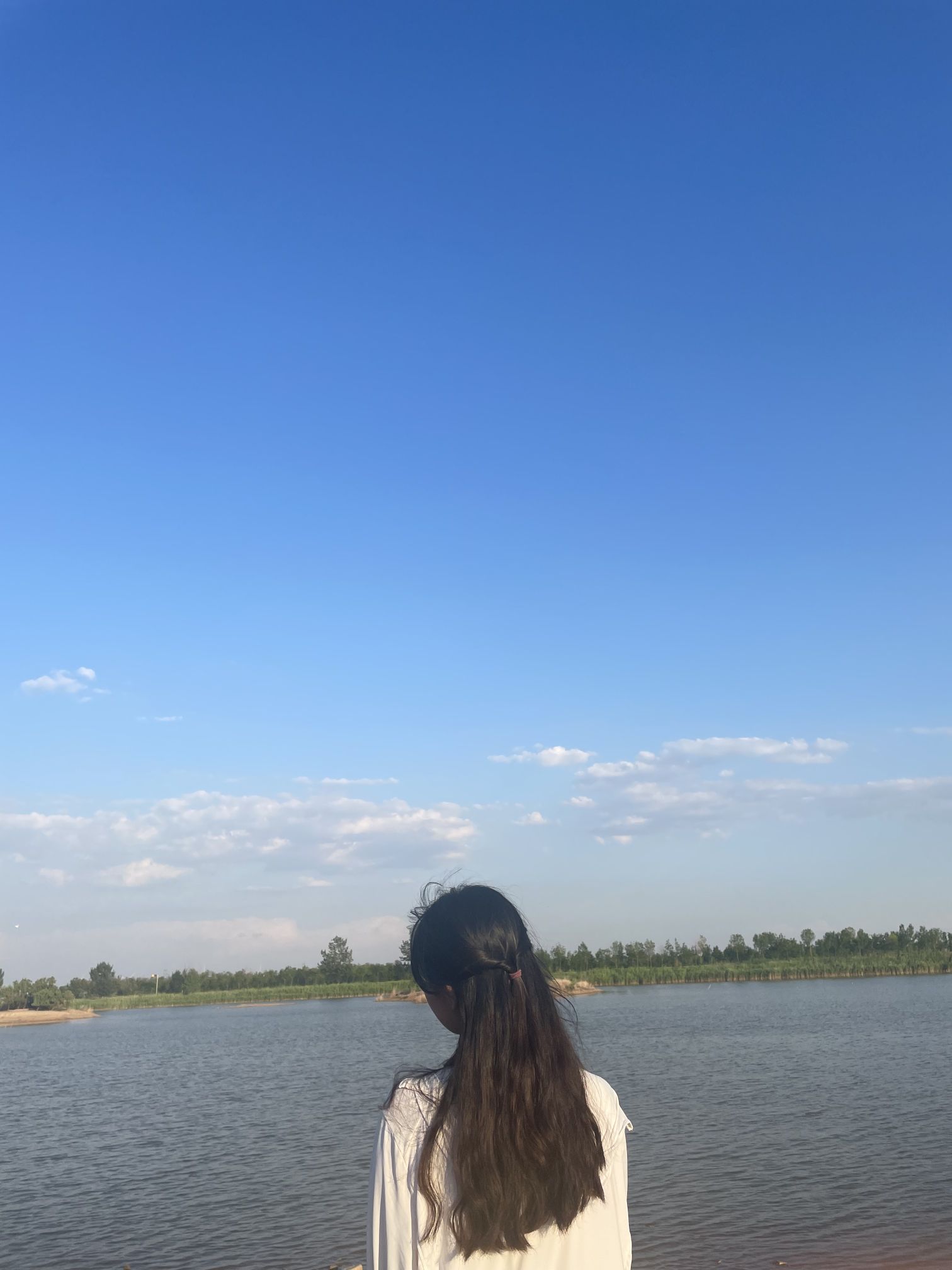 北海湿地公园旅行图片 3