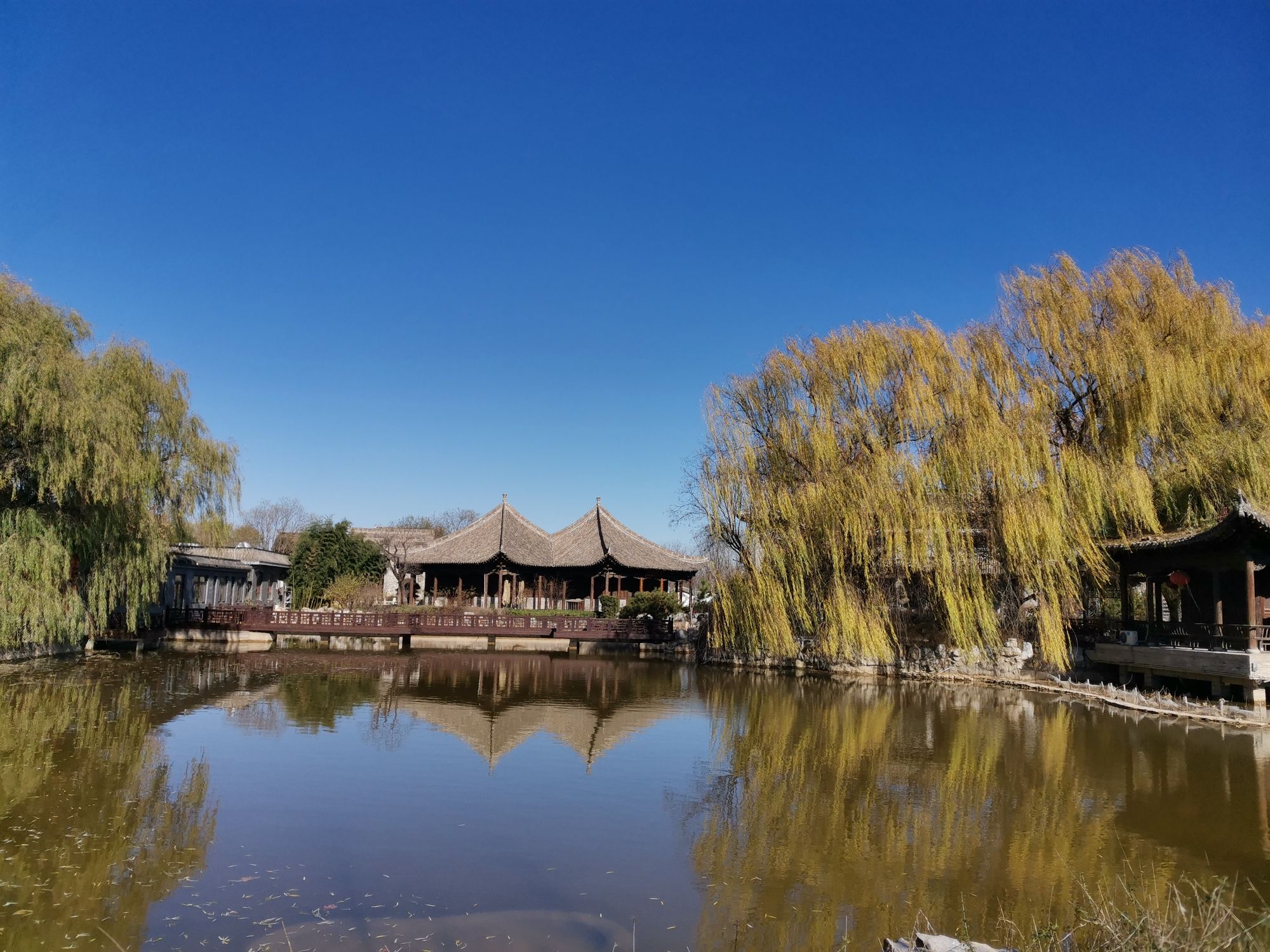 九龙湖文化园(不对外开放)旅行图片 3