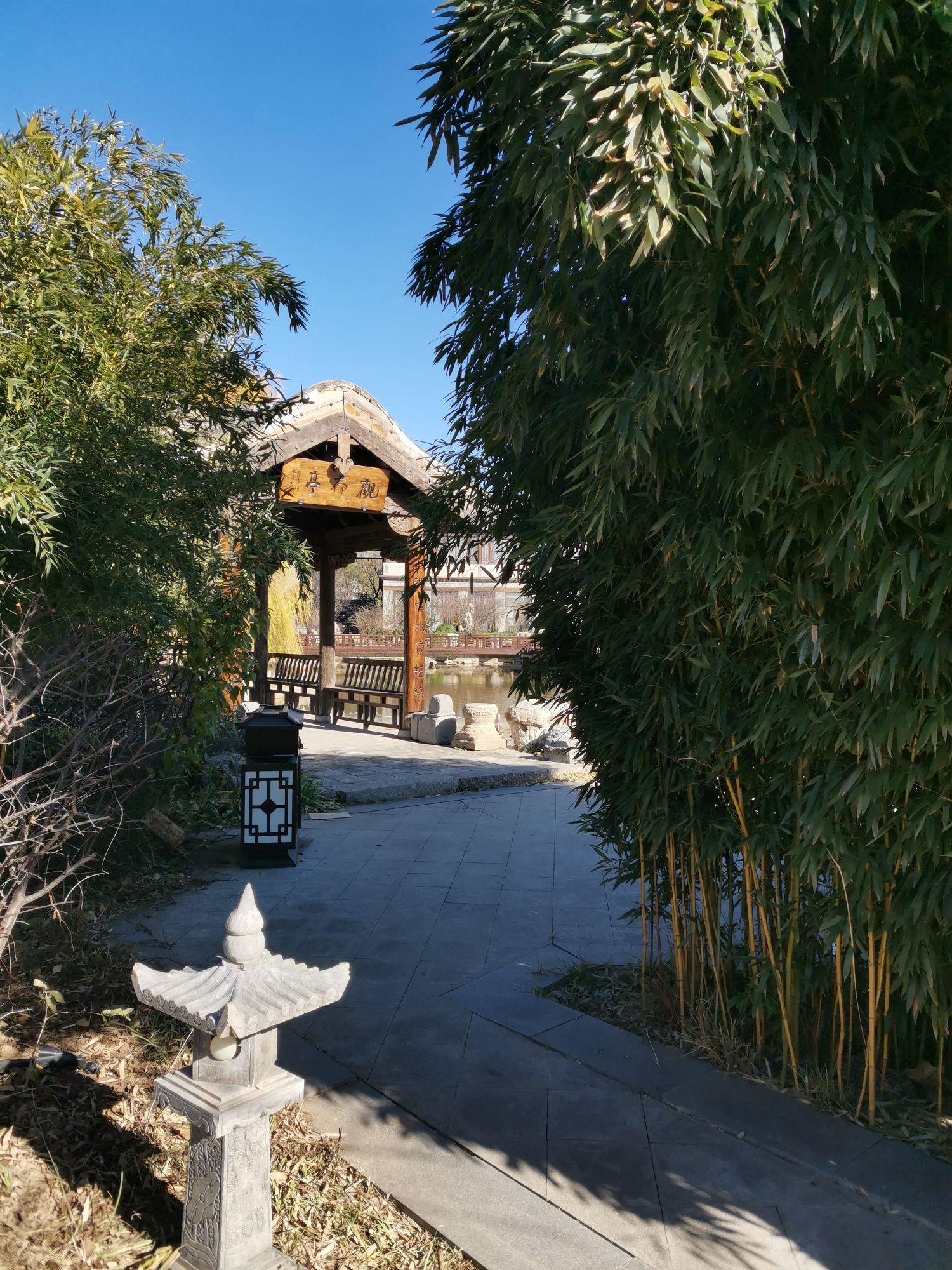 九龙湖文化园(不对外开放)旅行图片 2
