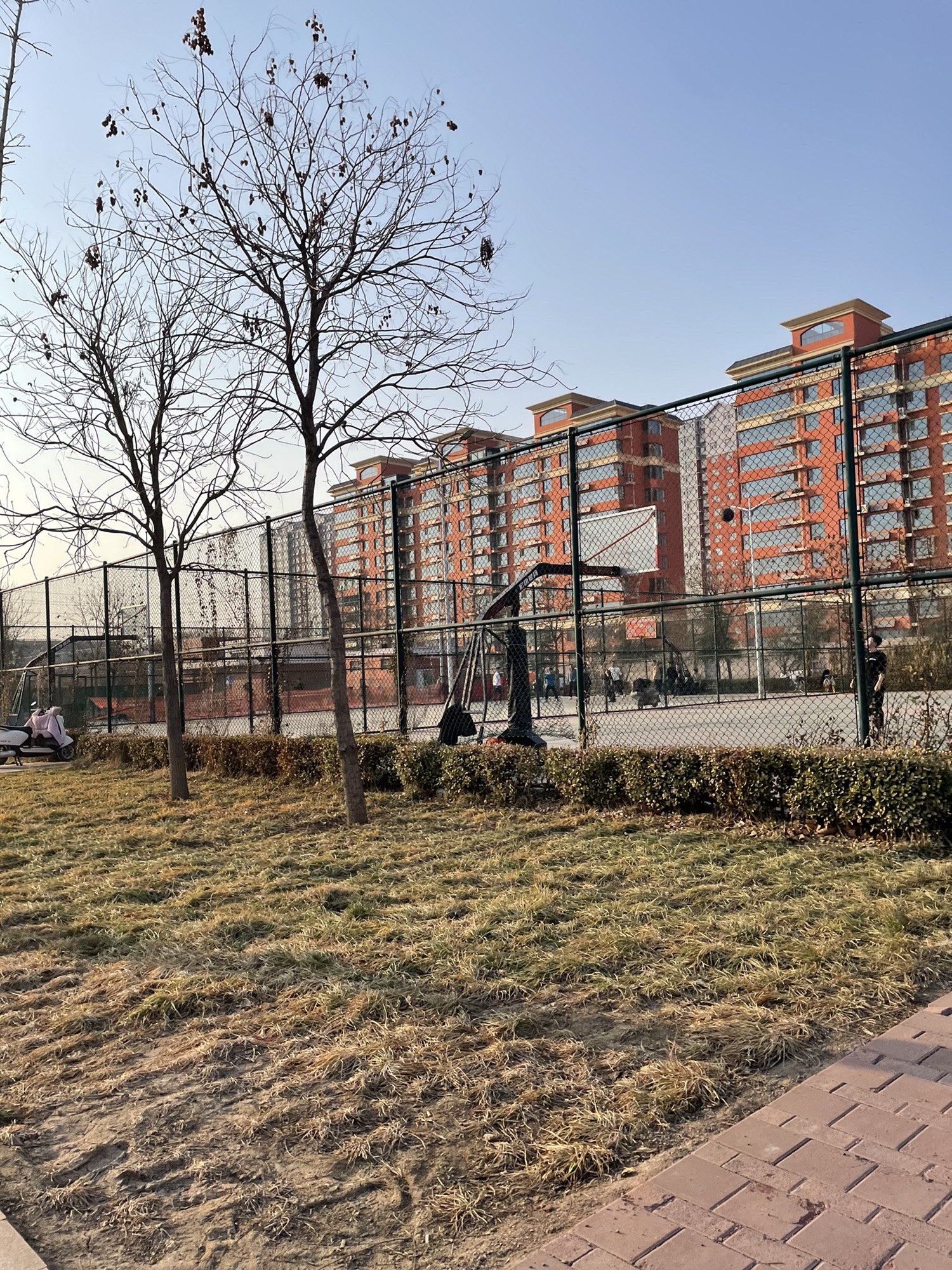 洺兴体育公园旅行图片 2