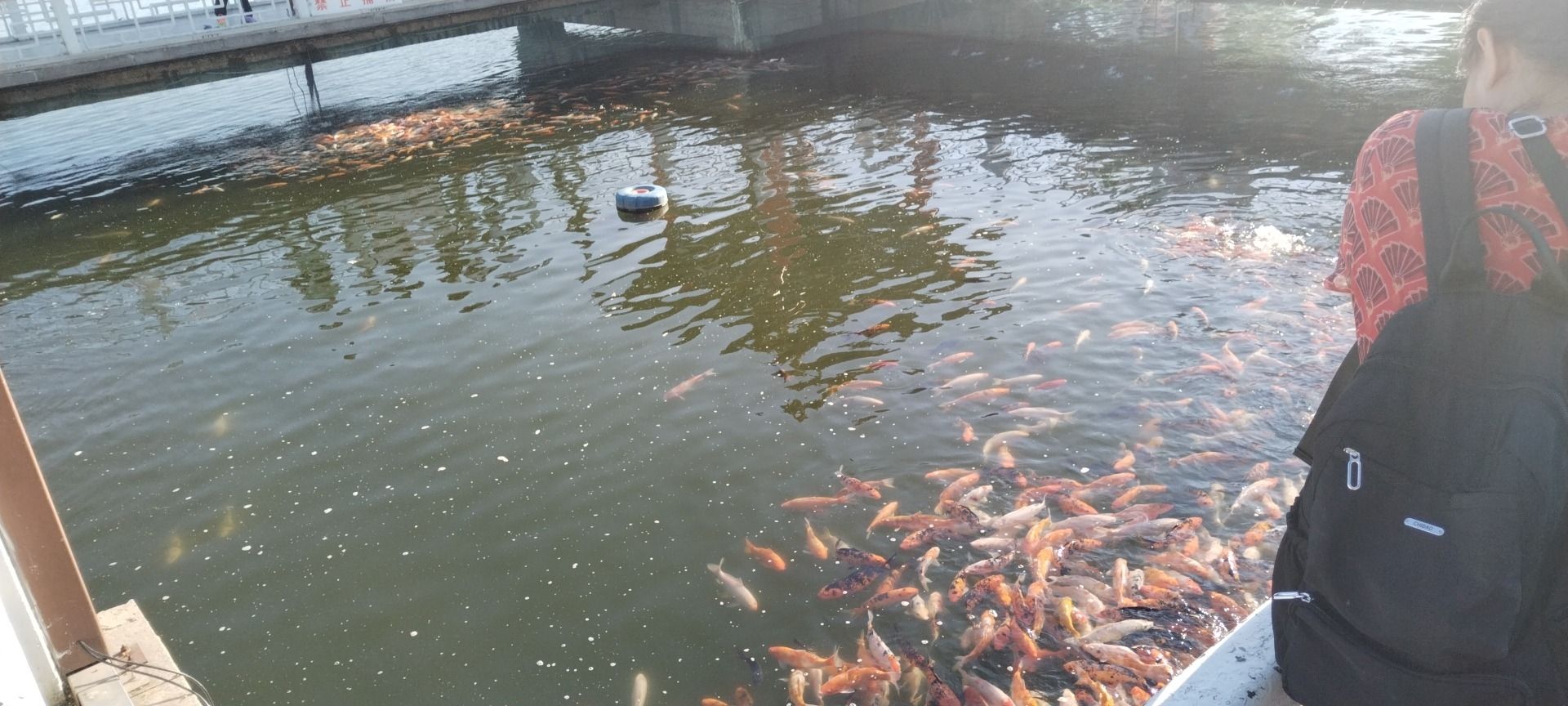 风雨四亭桥