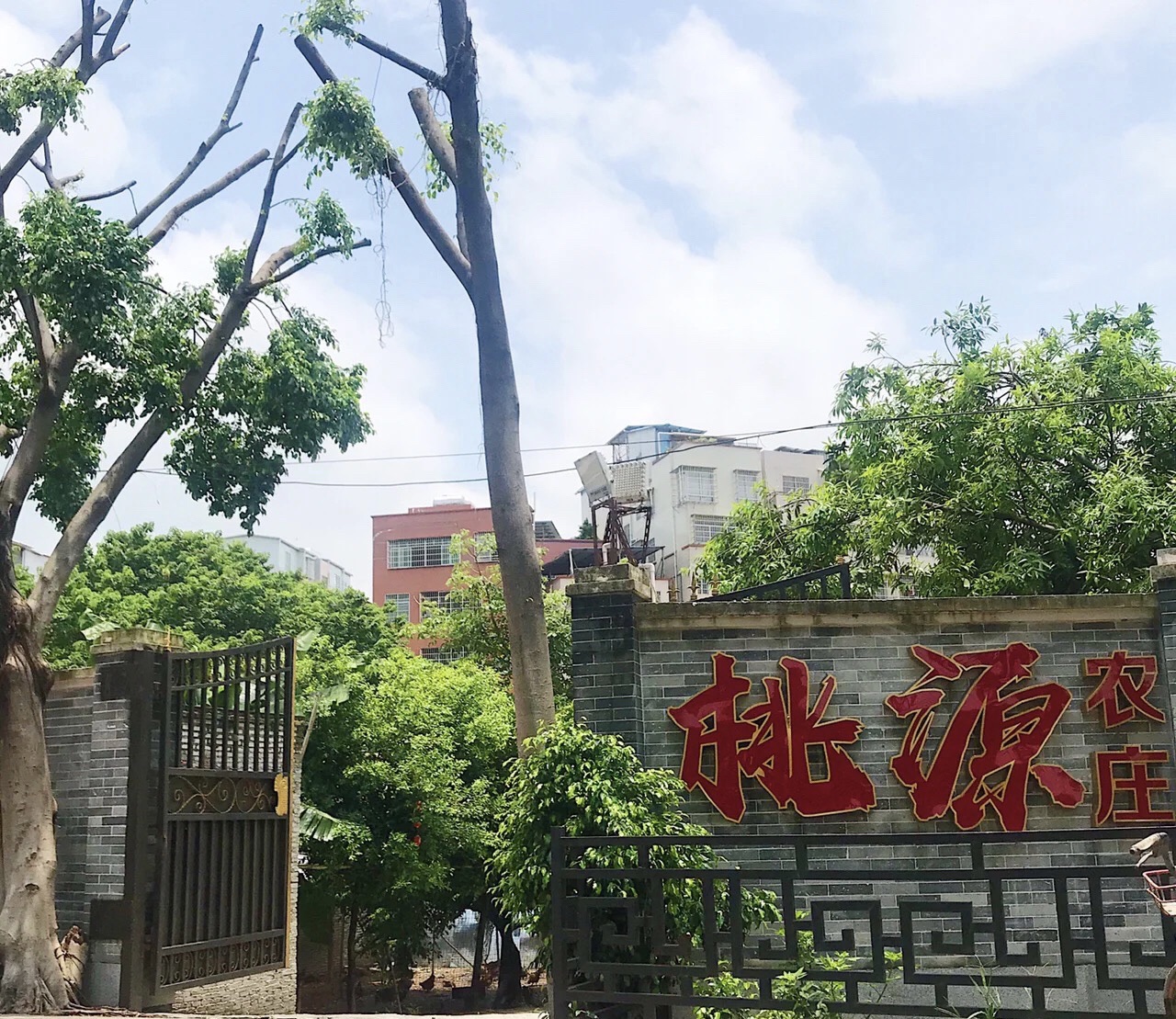 桃源农庄(新滘东路店)