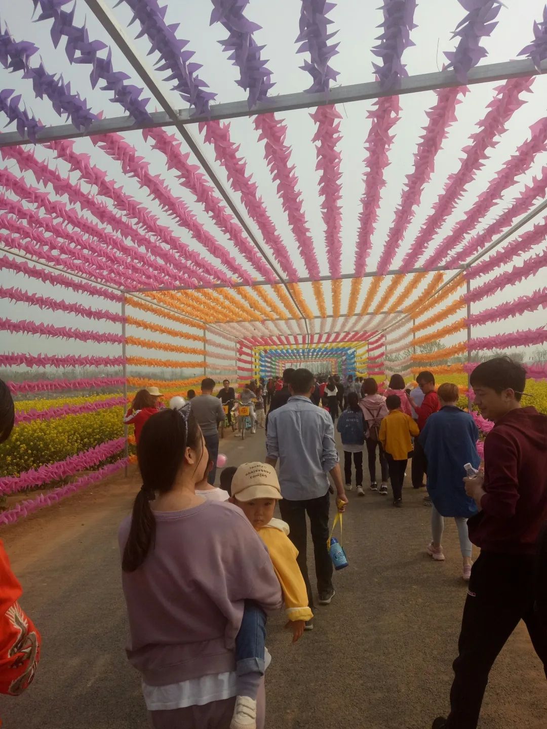 牛楼花海彩田景区旅行图片 3