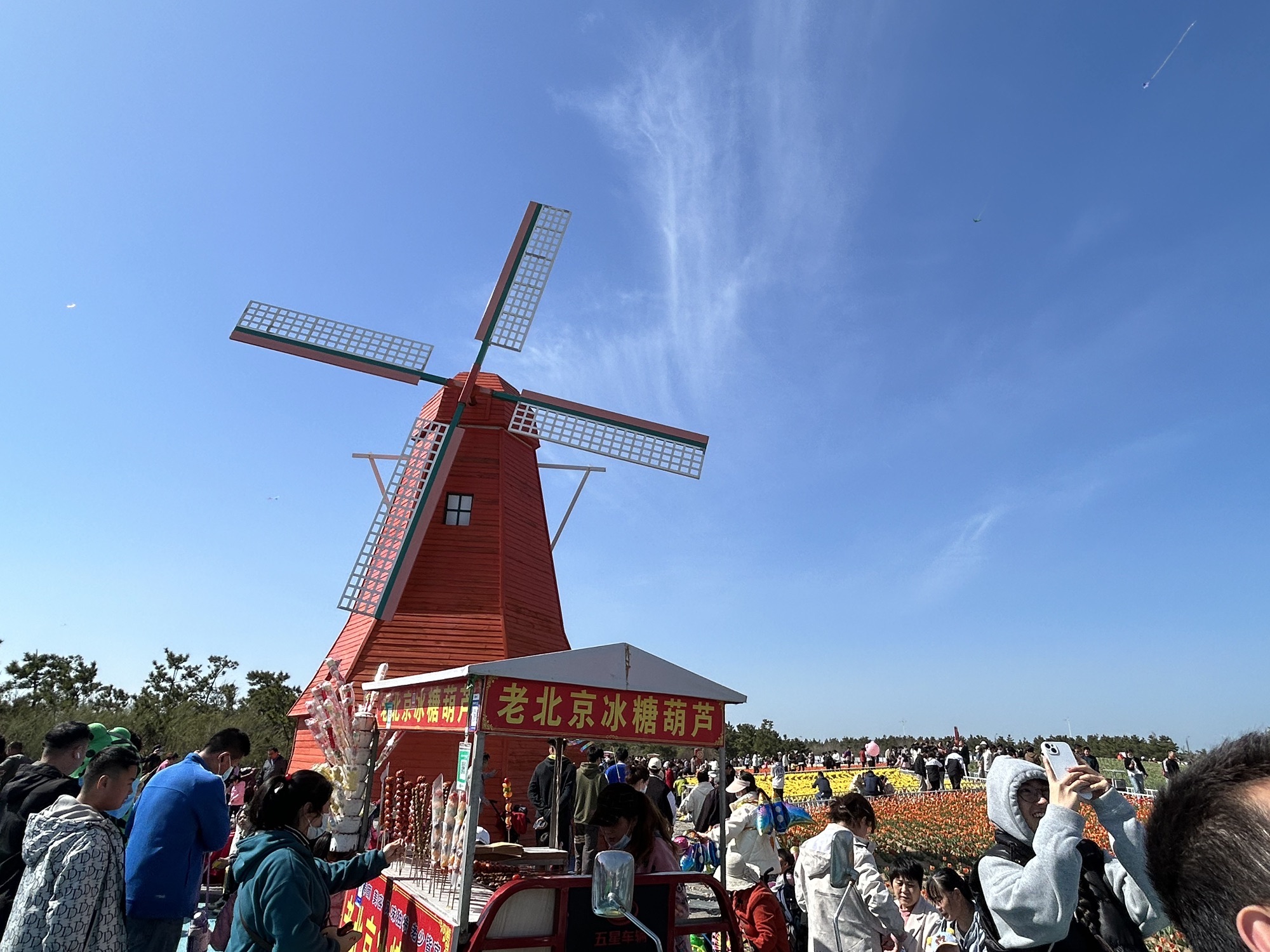 烟台开发区海螺广场旅行图片 1
