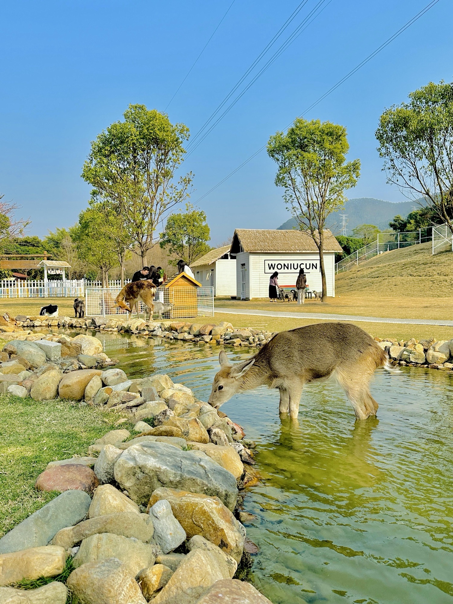 仙人掌王国旅行图片 2