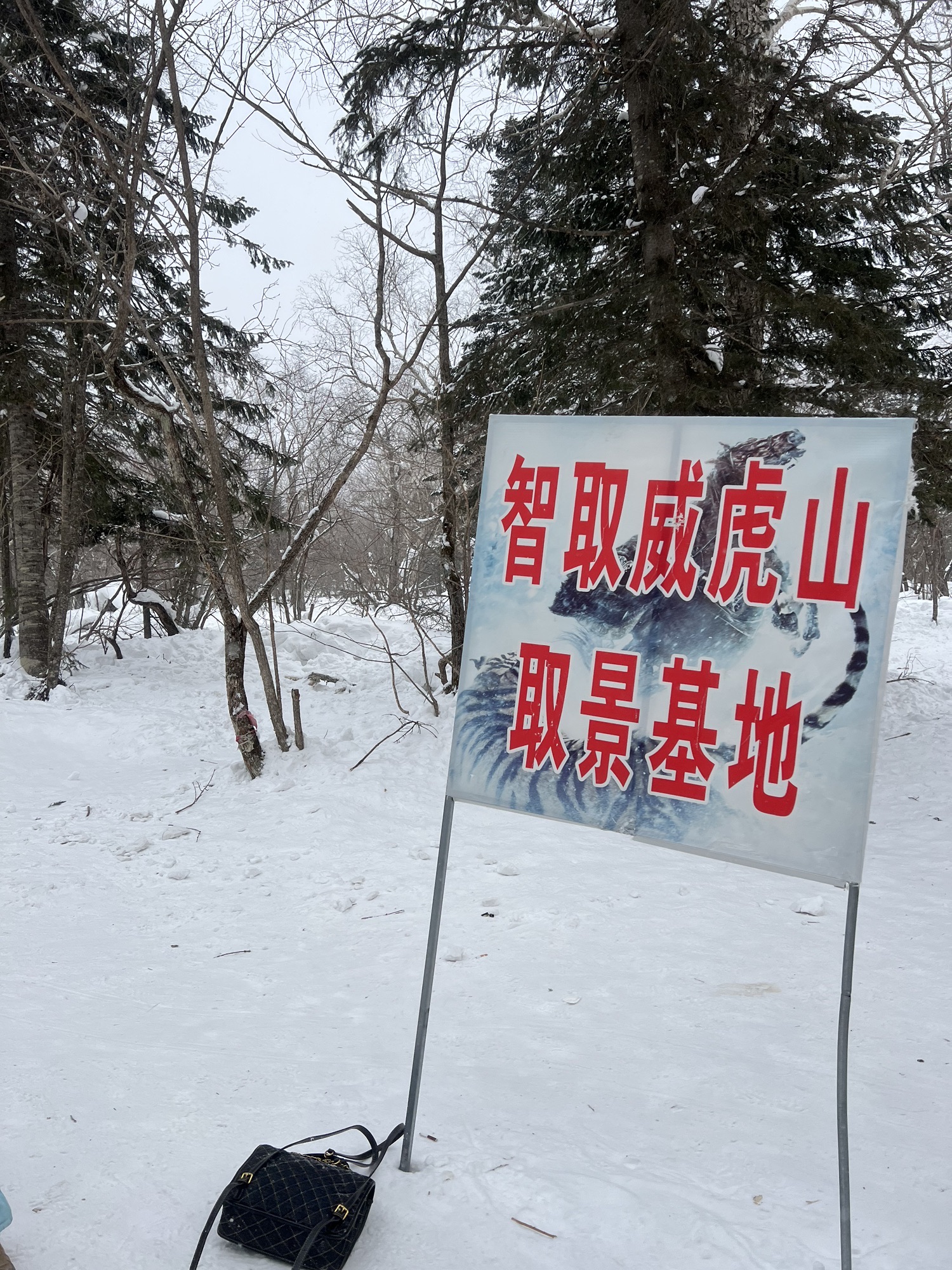 雾凇十里冰雪画廊旅行图片 1