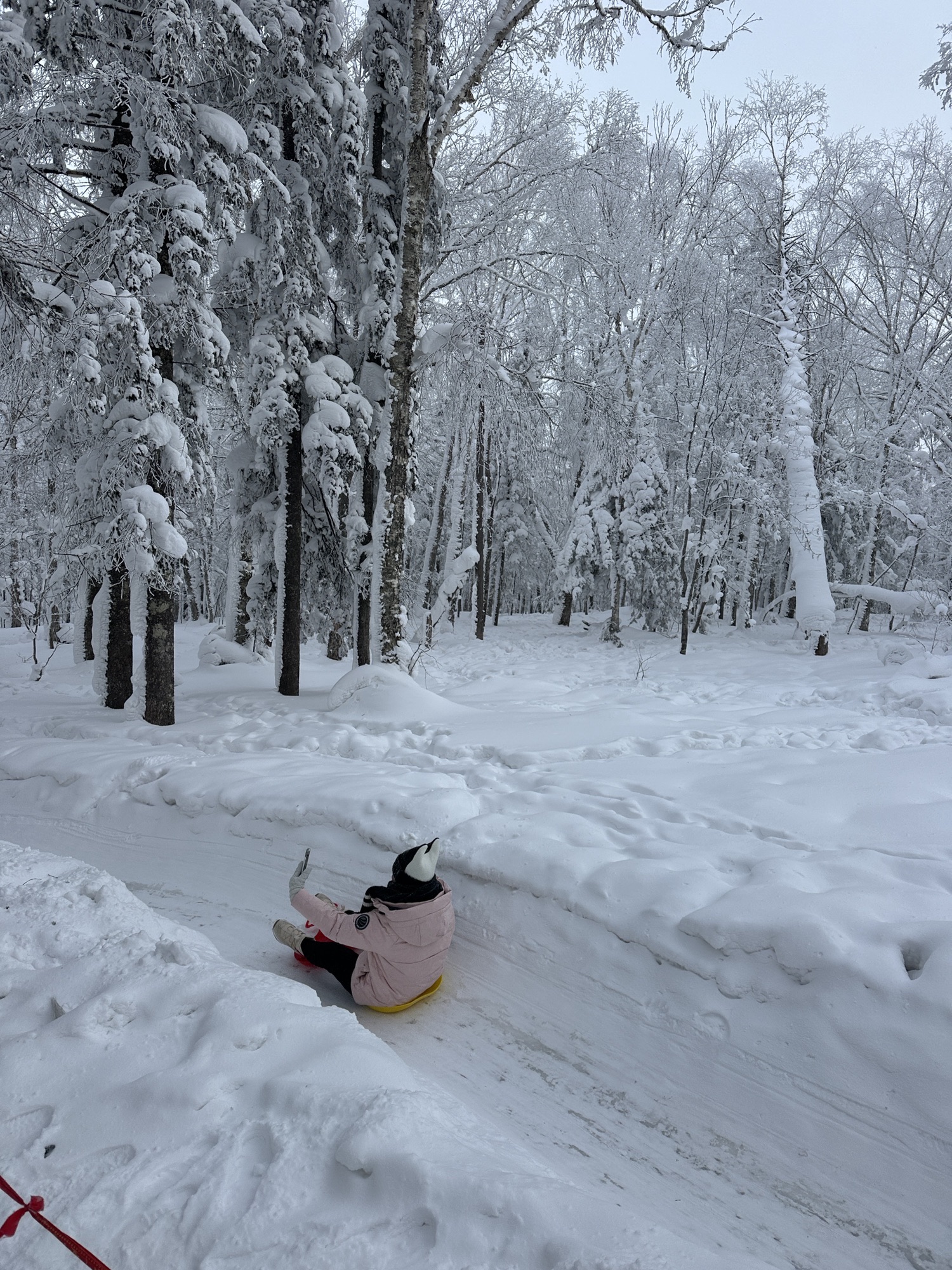 雾凇十里冰雪画廊旅行图片 3