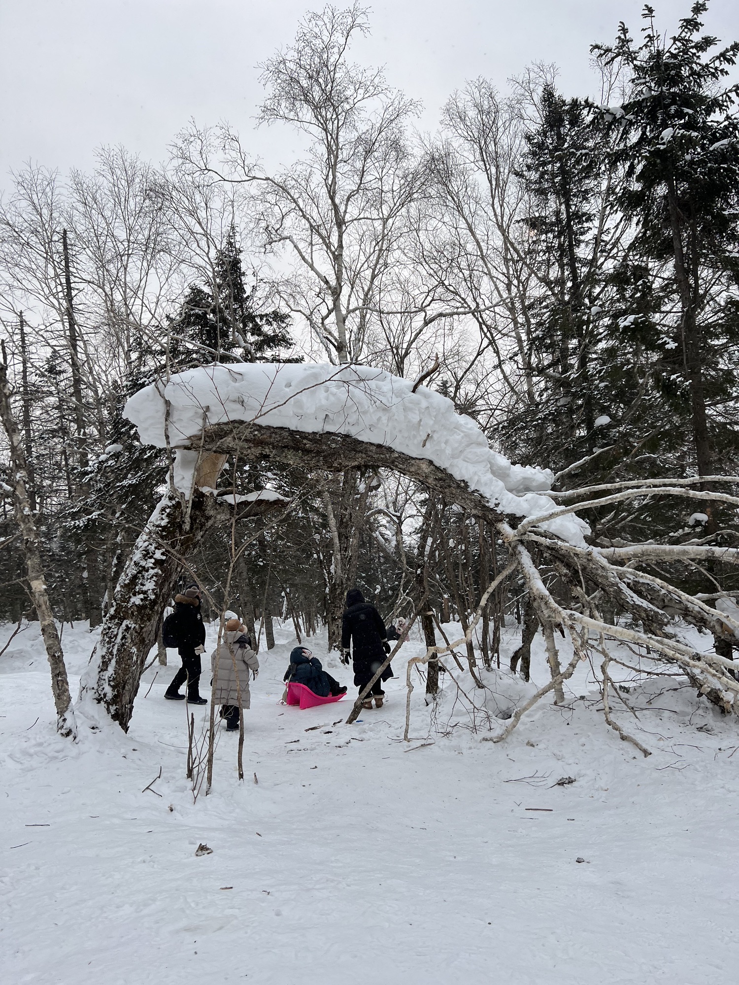 雾凇十里冰雪画廊旅行图片 3