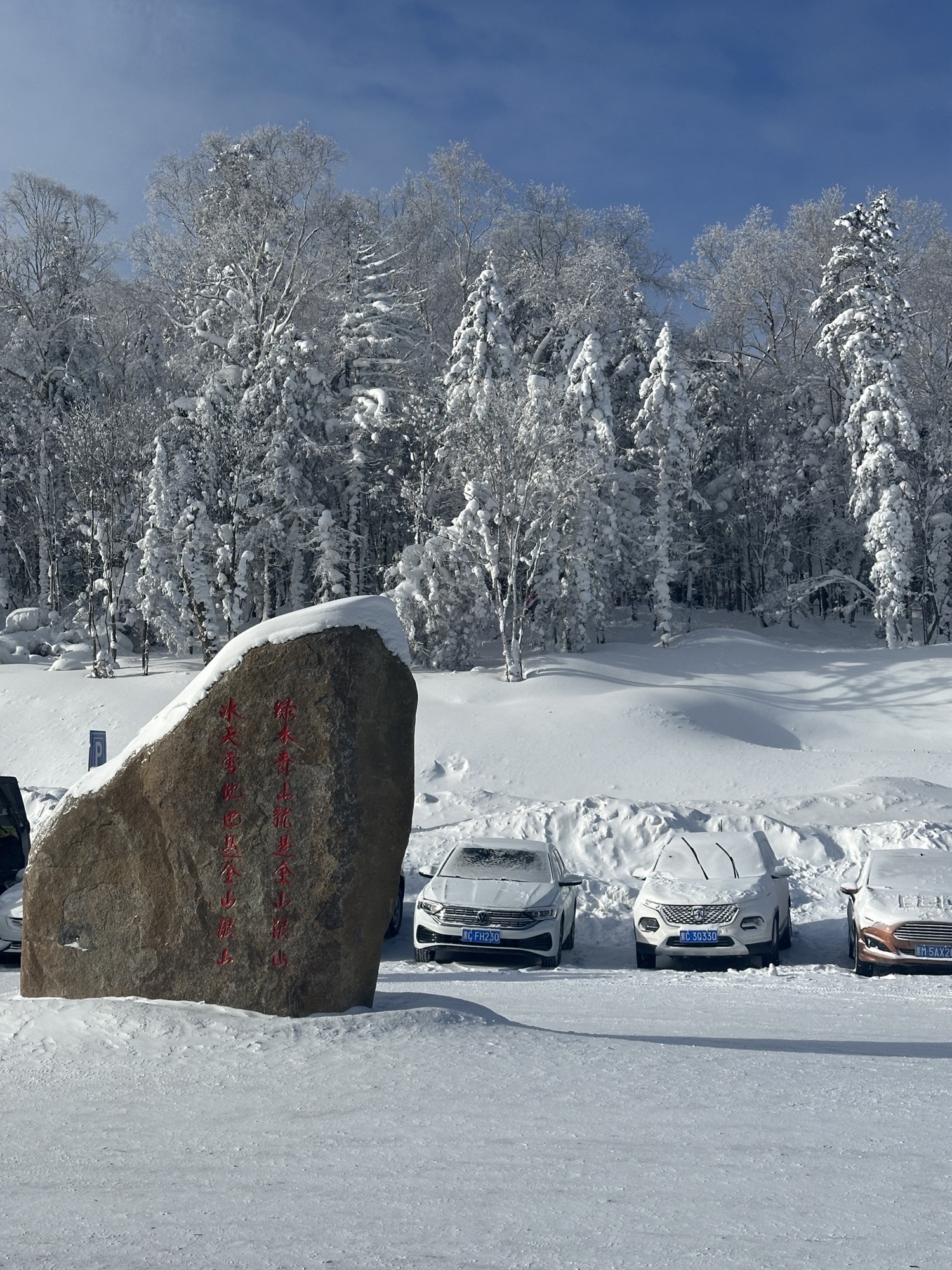 雾凇十里冰雪画廊旅行图片 1
