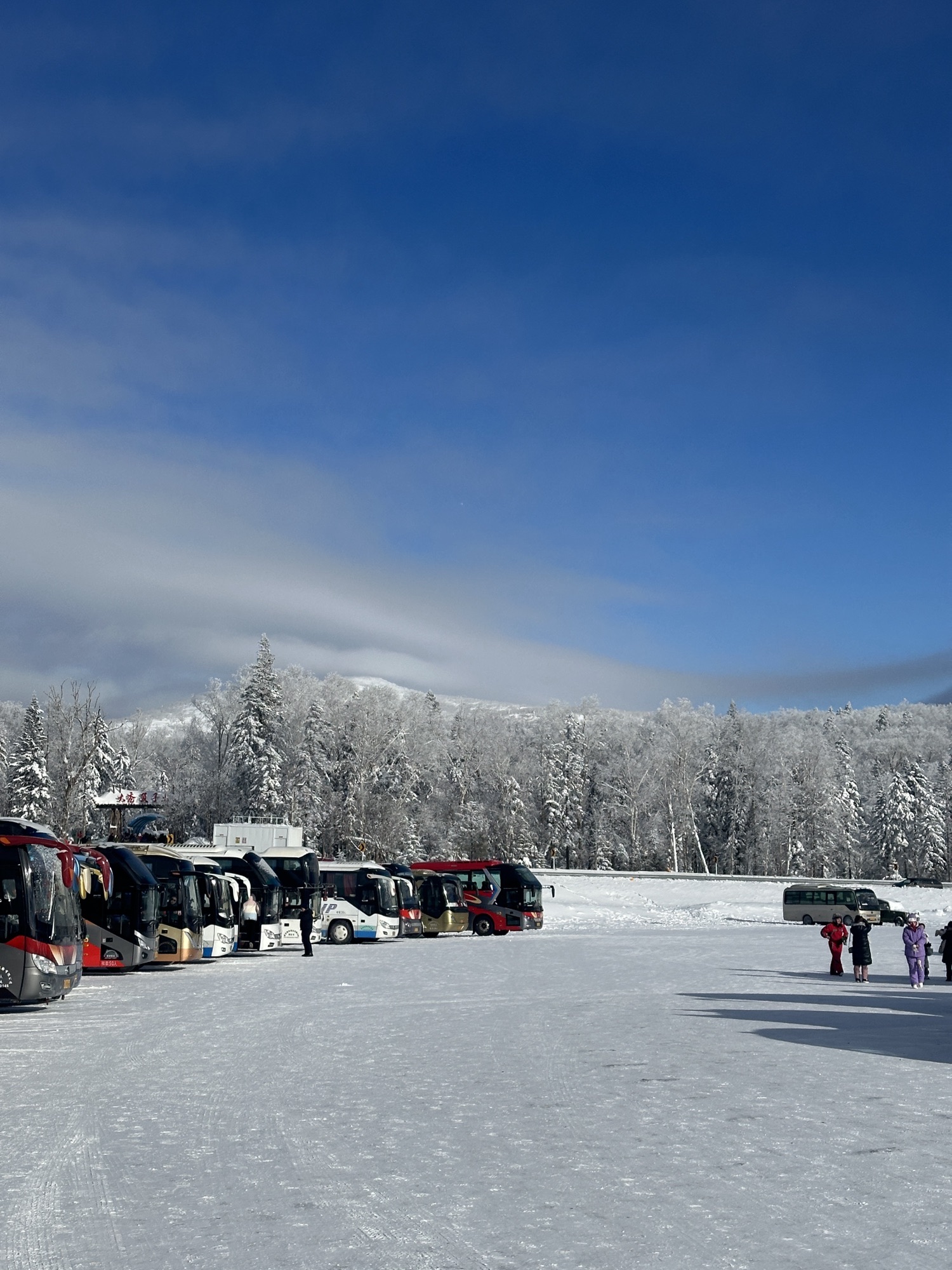 雾凇十里冰雪画廊旅行图片 2