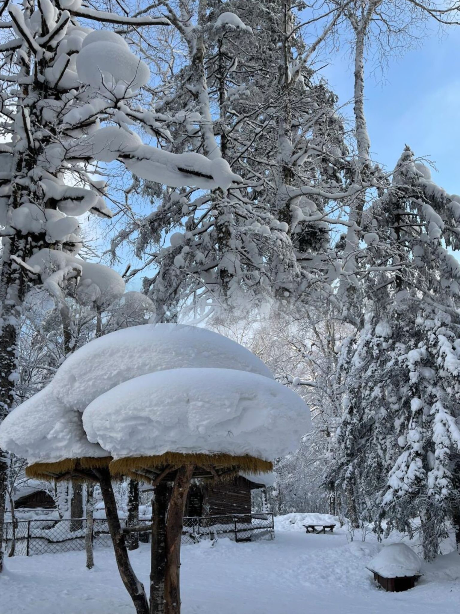 雾凇十里冰雪画廊旅行图片 3
