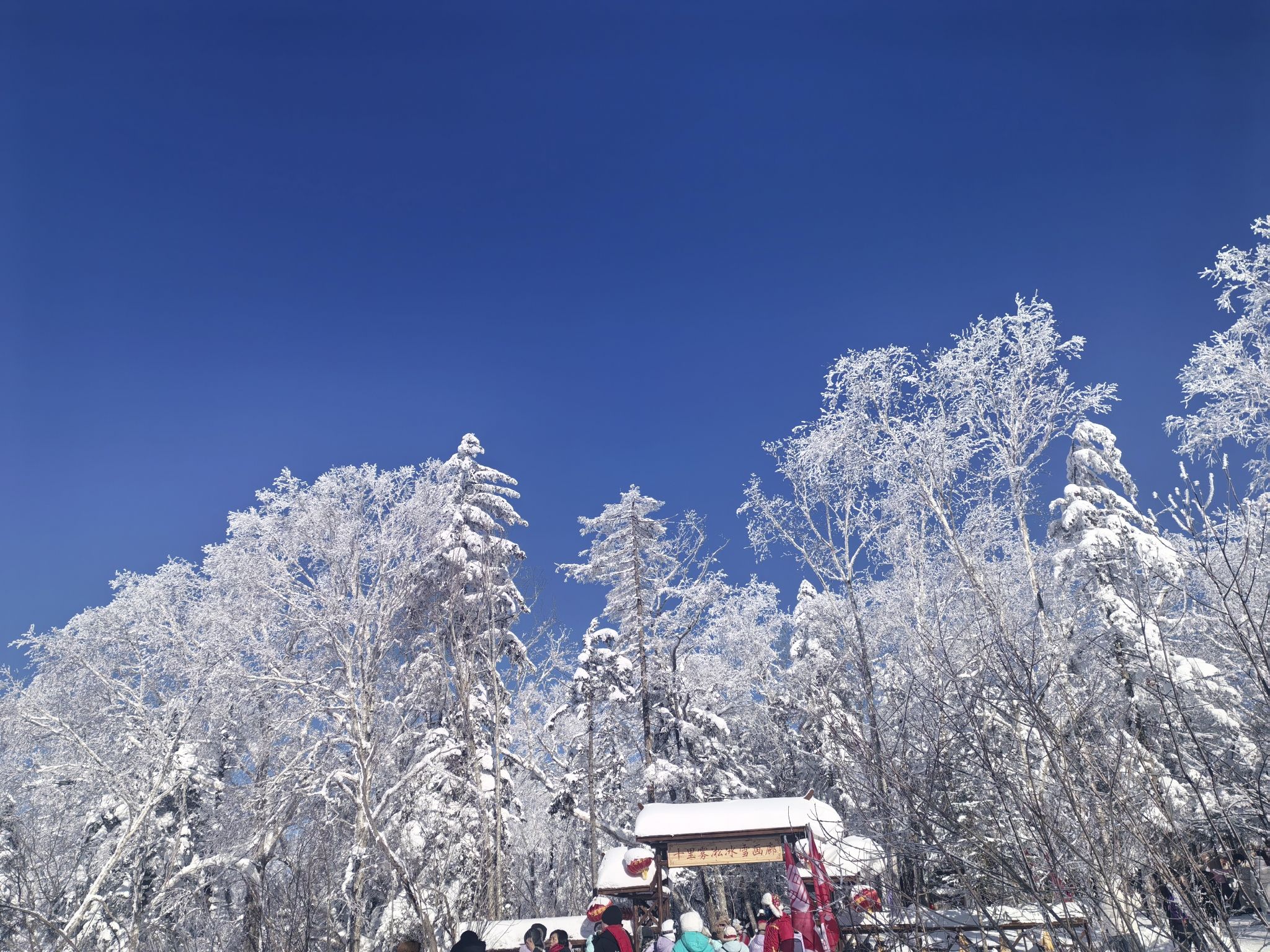 雾凇十里冰雪画廊旅行图片 1