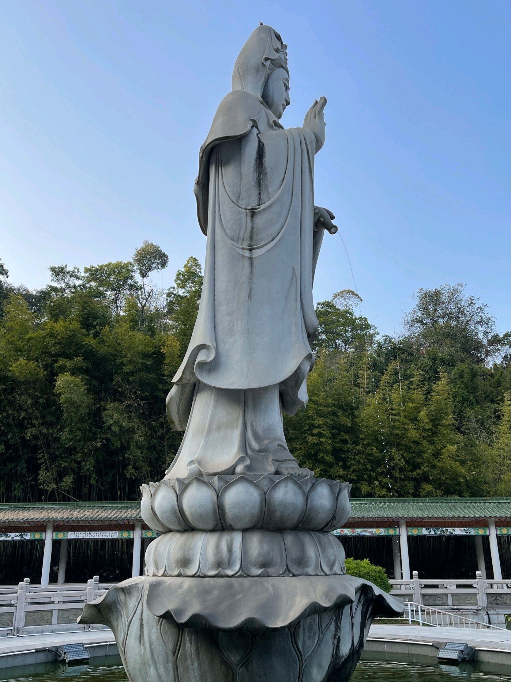 丰顺公园旅行图片 3