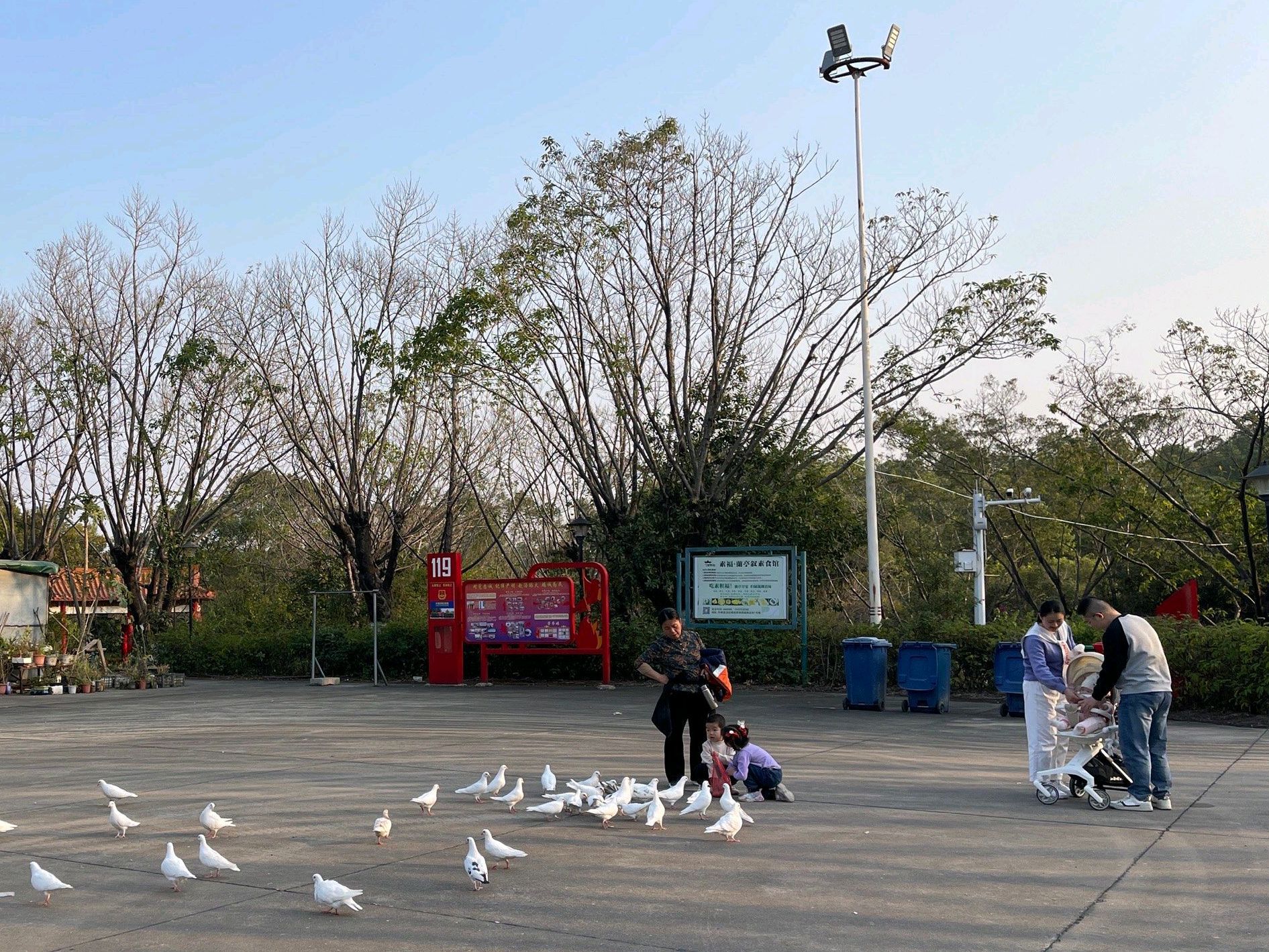 丰顺公园旅行图片 1