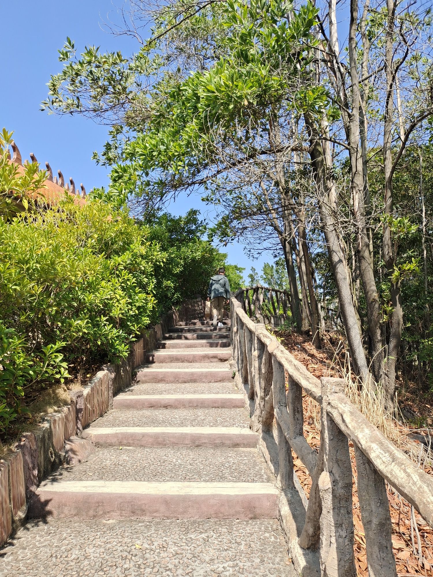 丰顺公园旅行图片 1