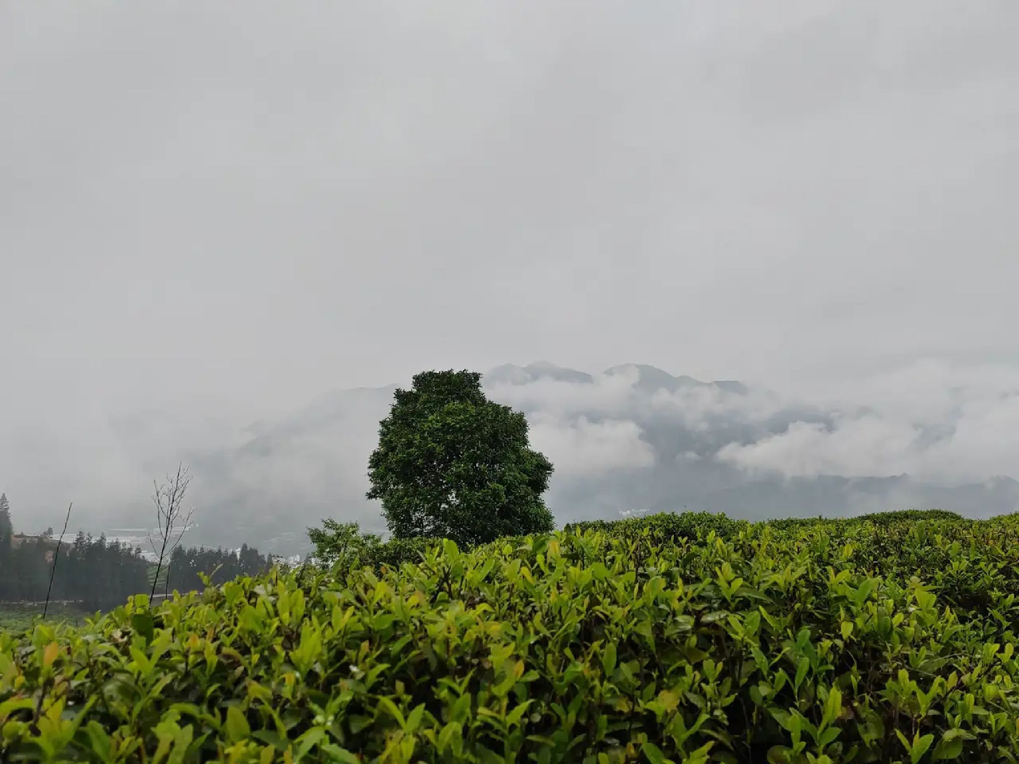 丰顺公园旅行图片 1