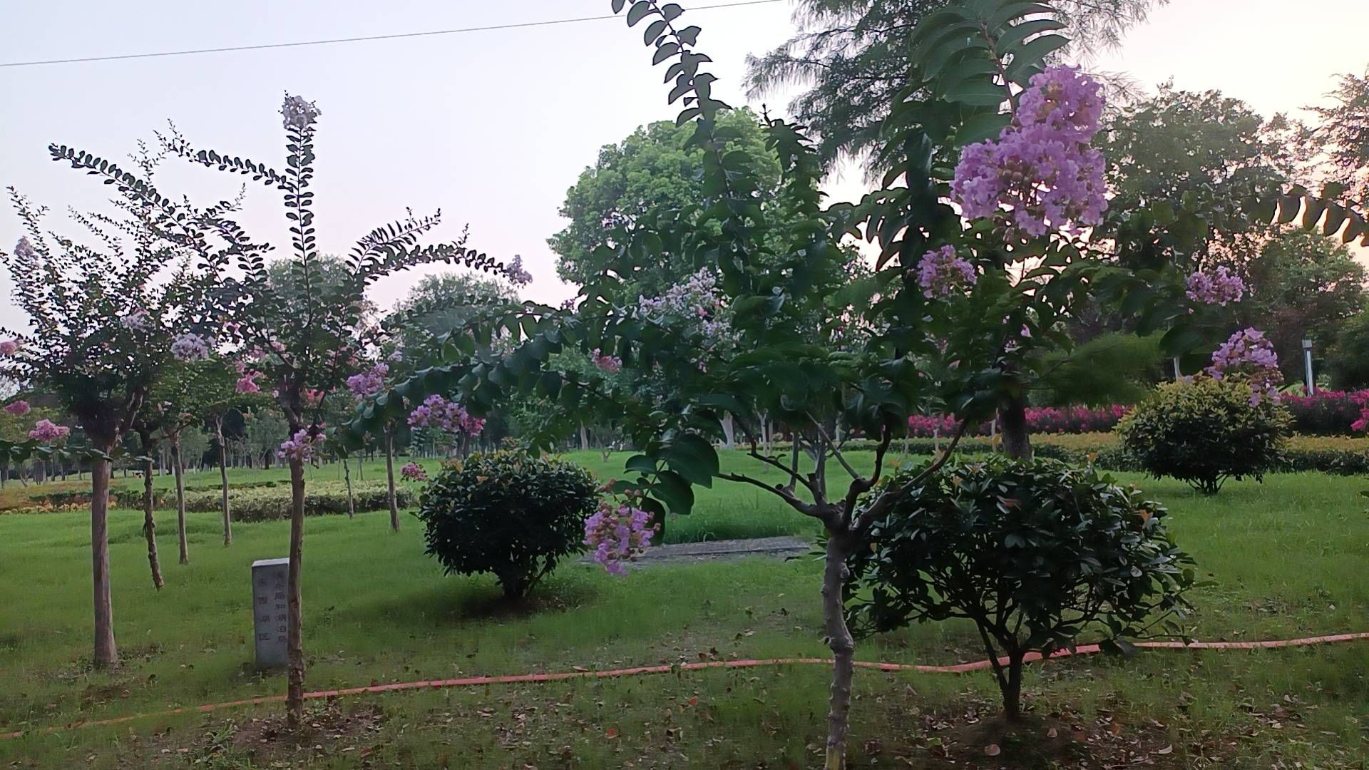 舵落口江滩公园旅行图片 1