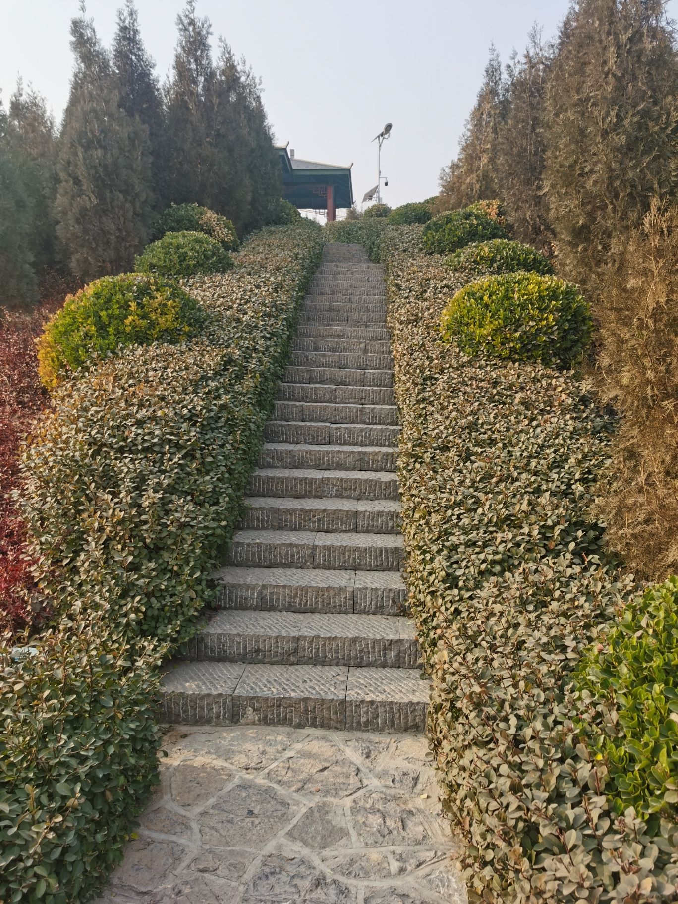白马山公园旅行图片 2