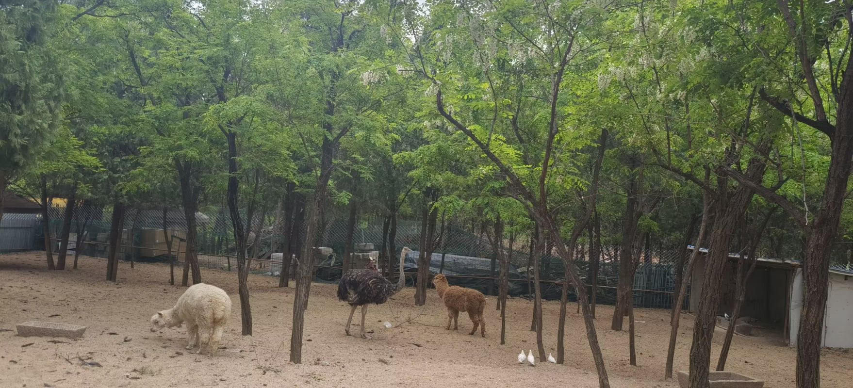 白马山公园旅行图片 1