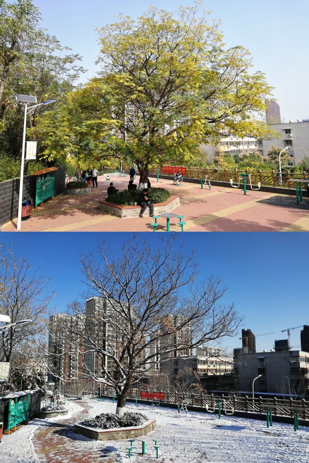 白马山公园旅行图片 1