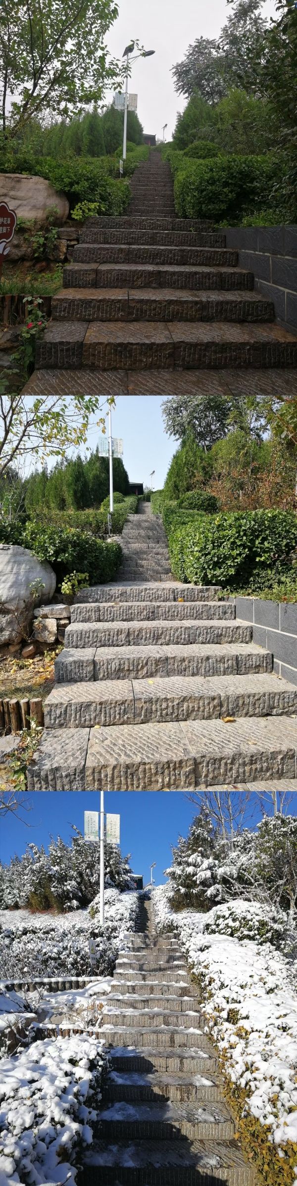 白马山公园旅行图片 3