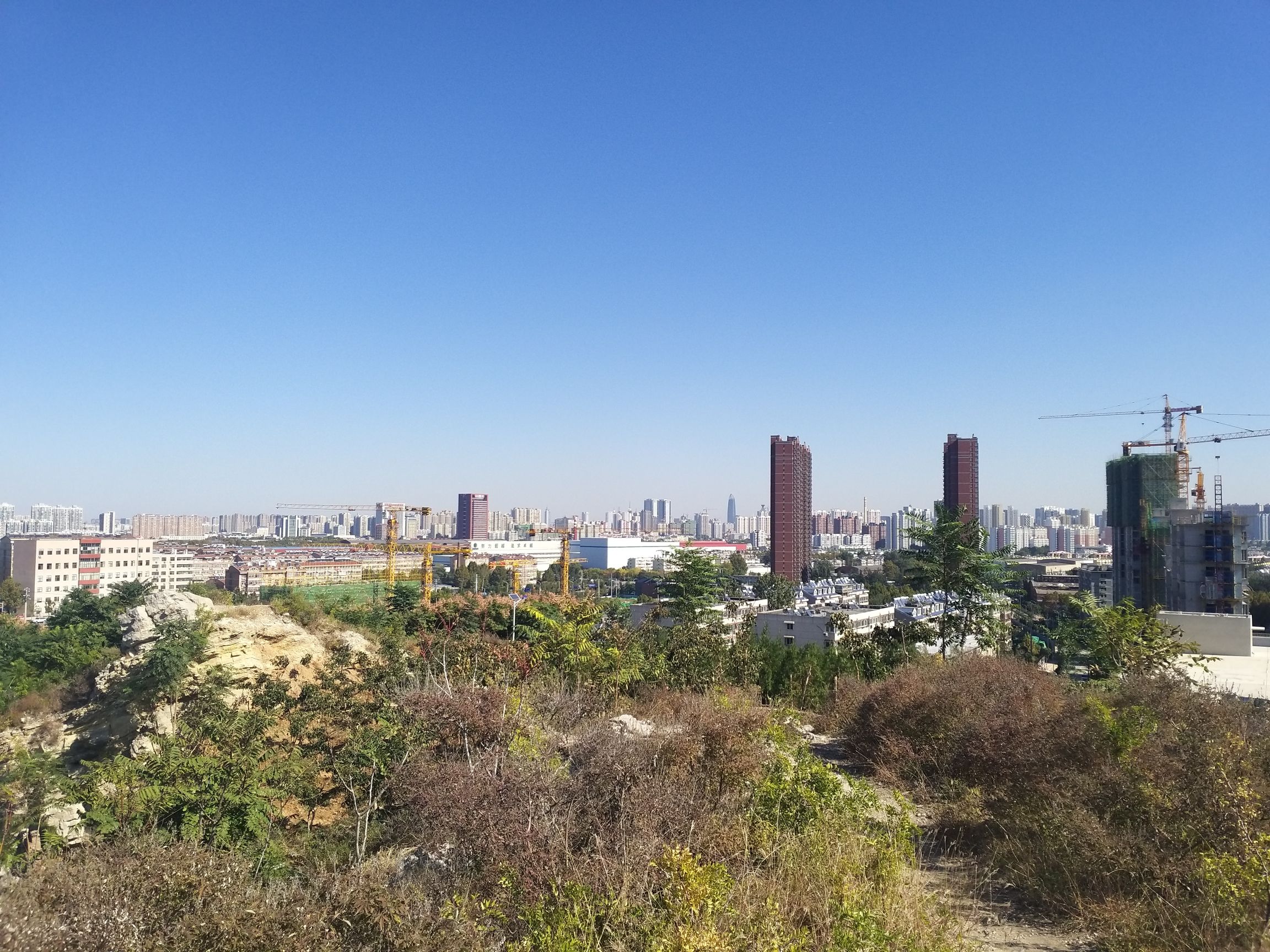 白马山公园旅行图片 1