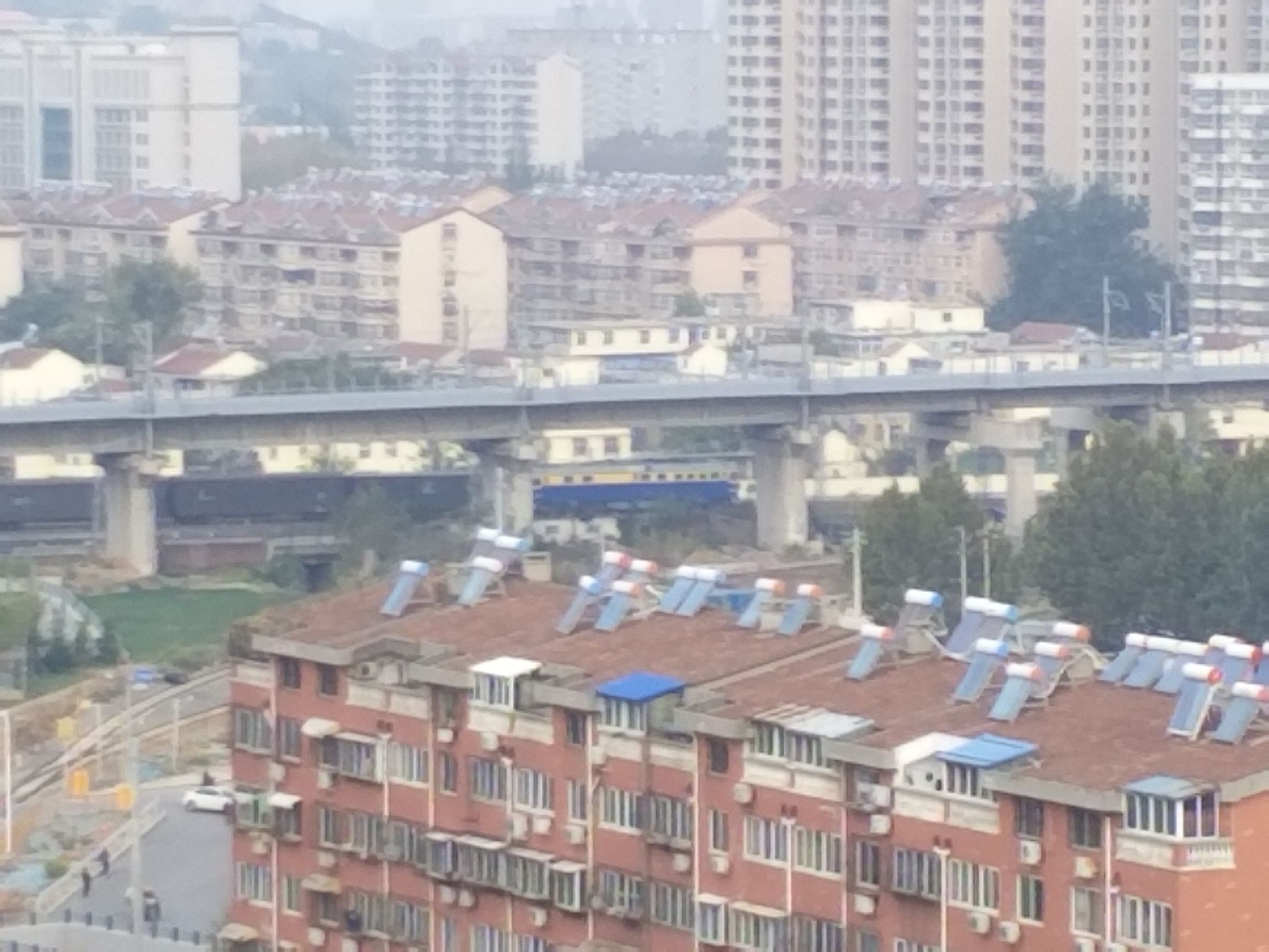 白马山公园旅行图片 3
