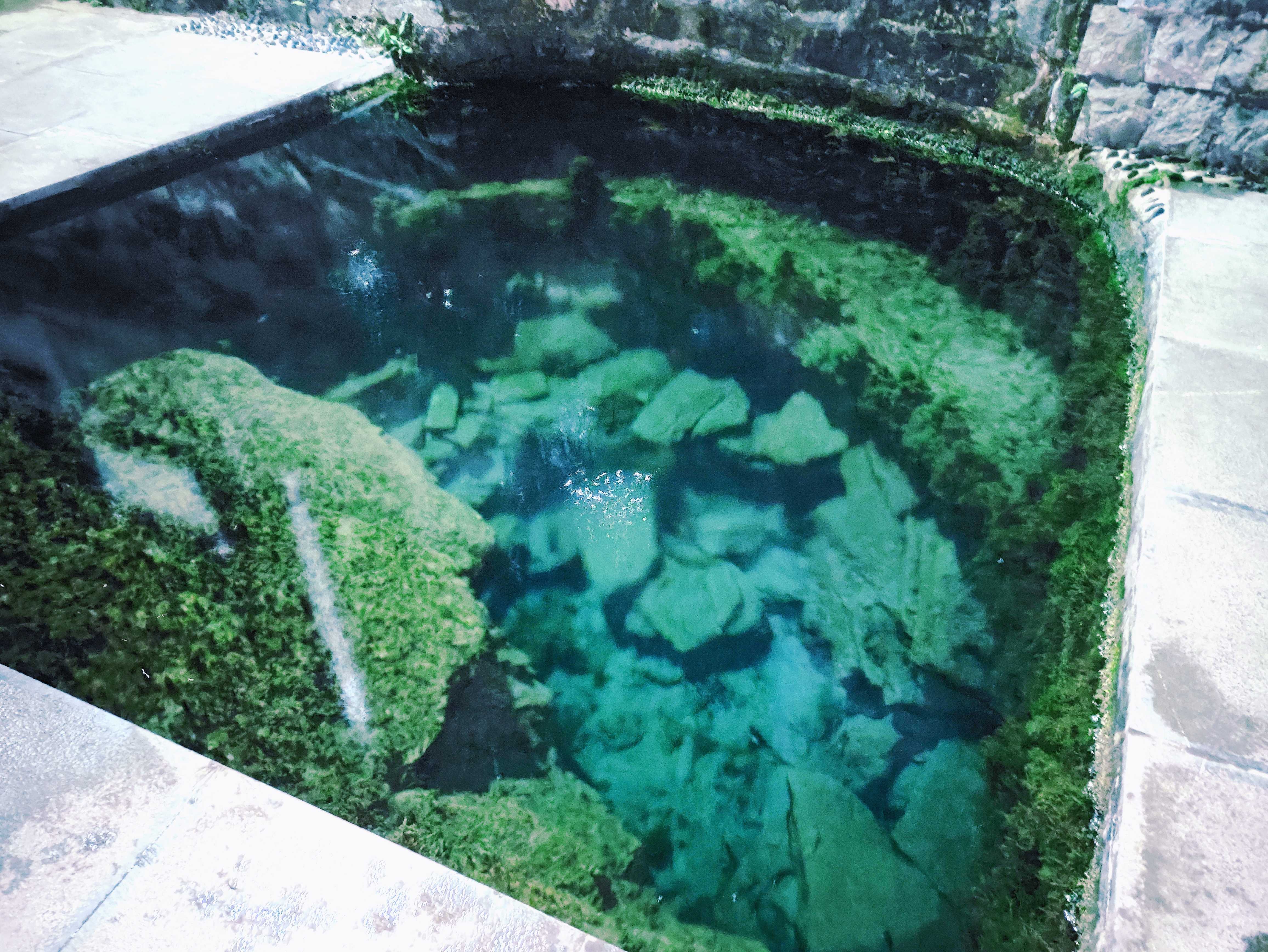 喜客泉旅行图片