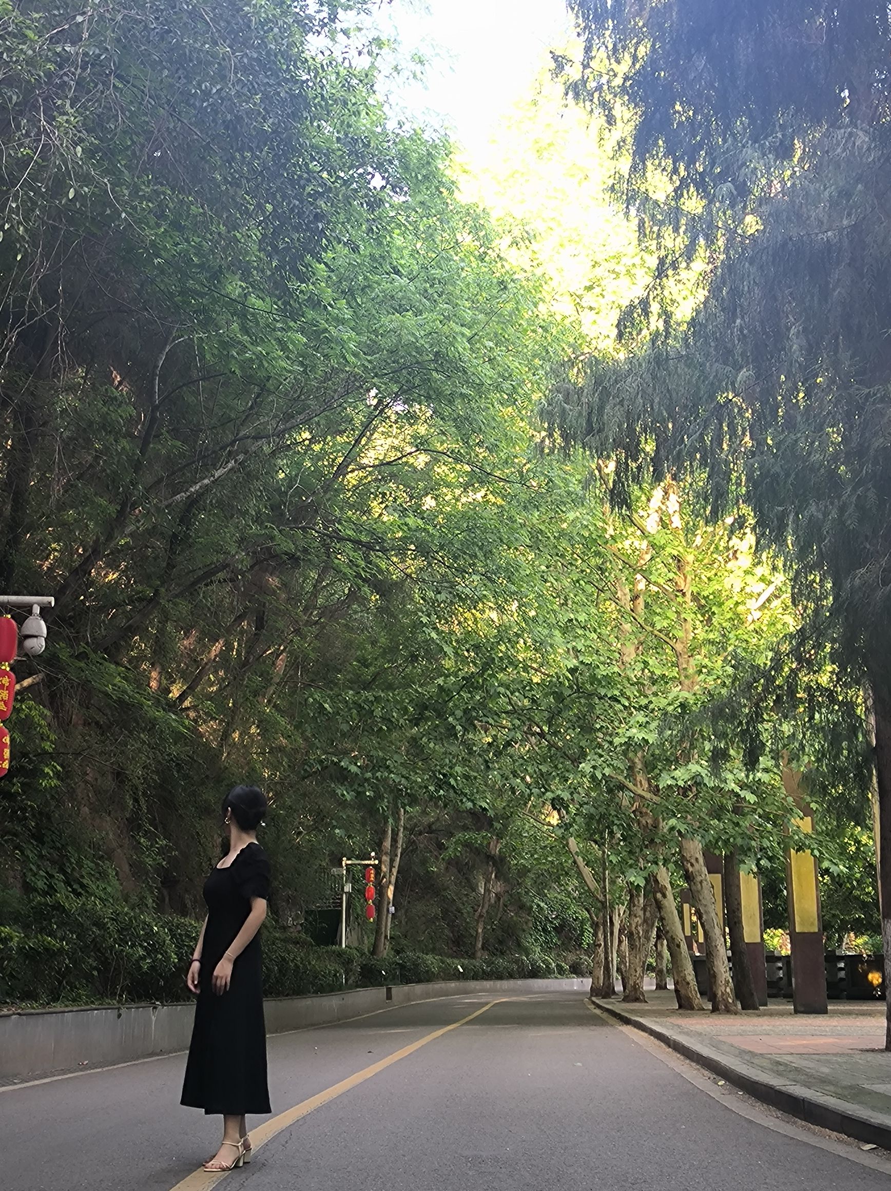 佛头寨旅行图片 1