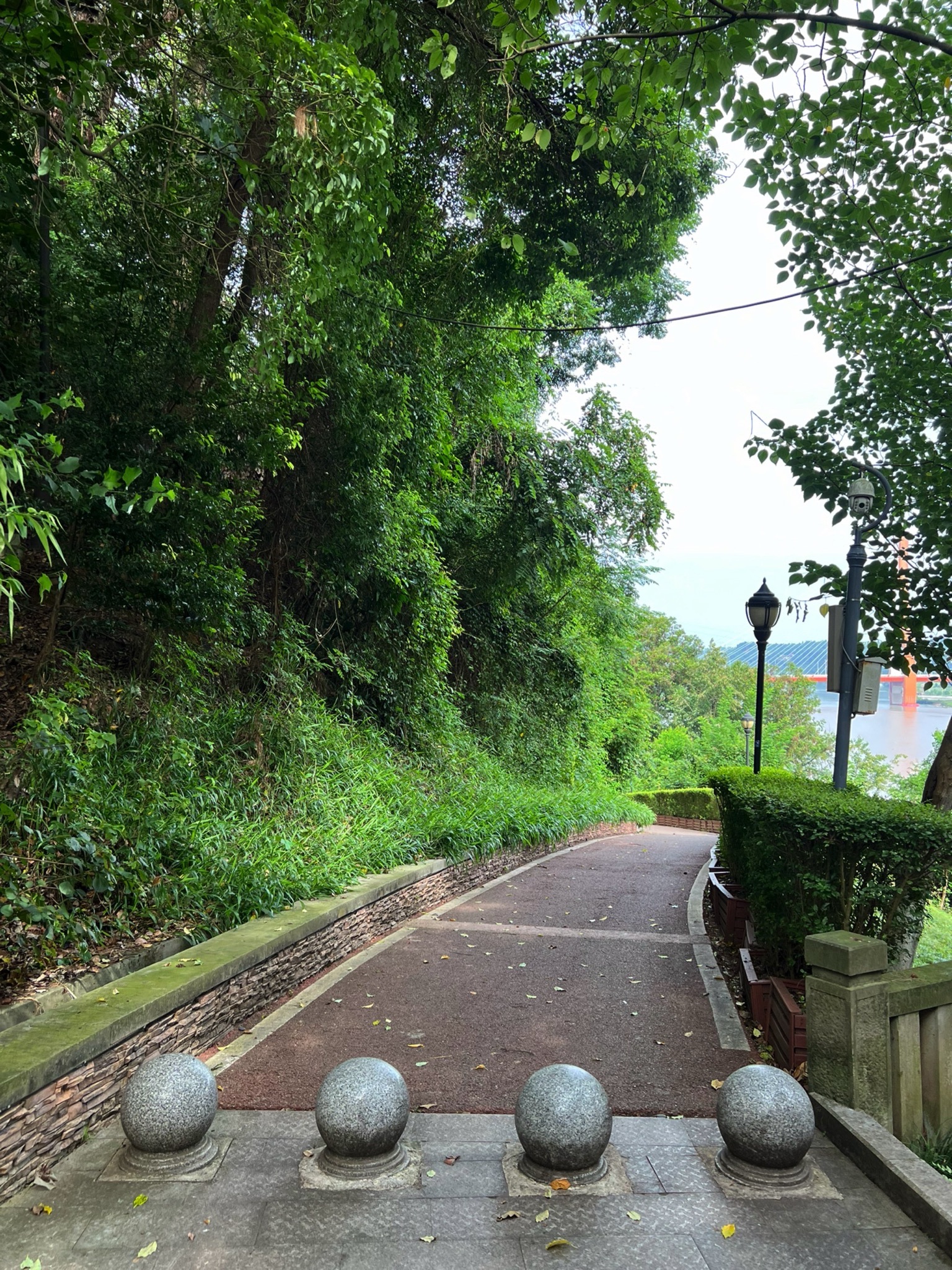 潼南人民生态公园旅行图片 1