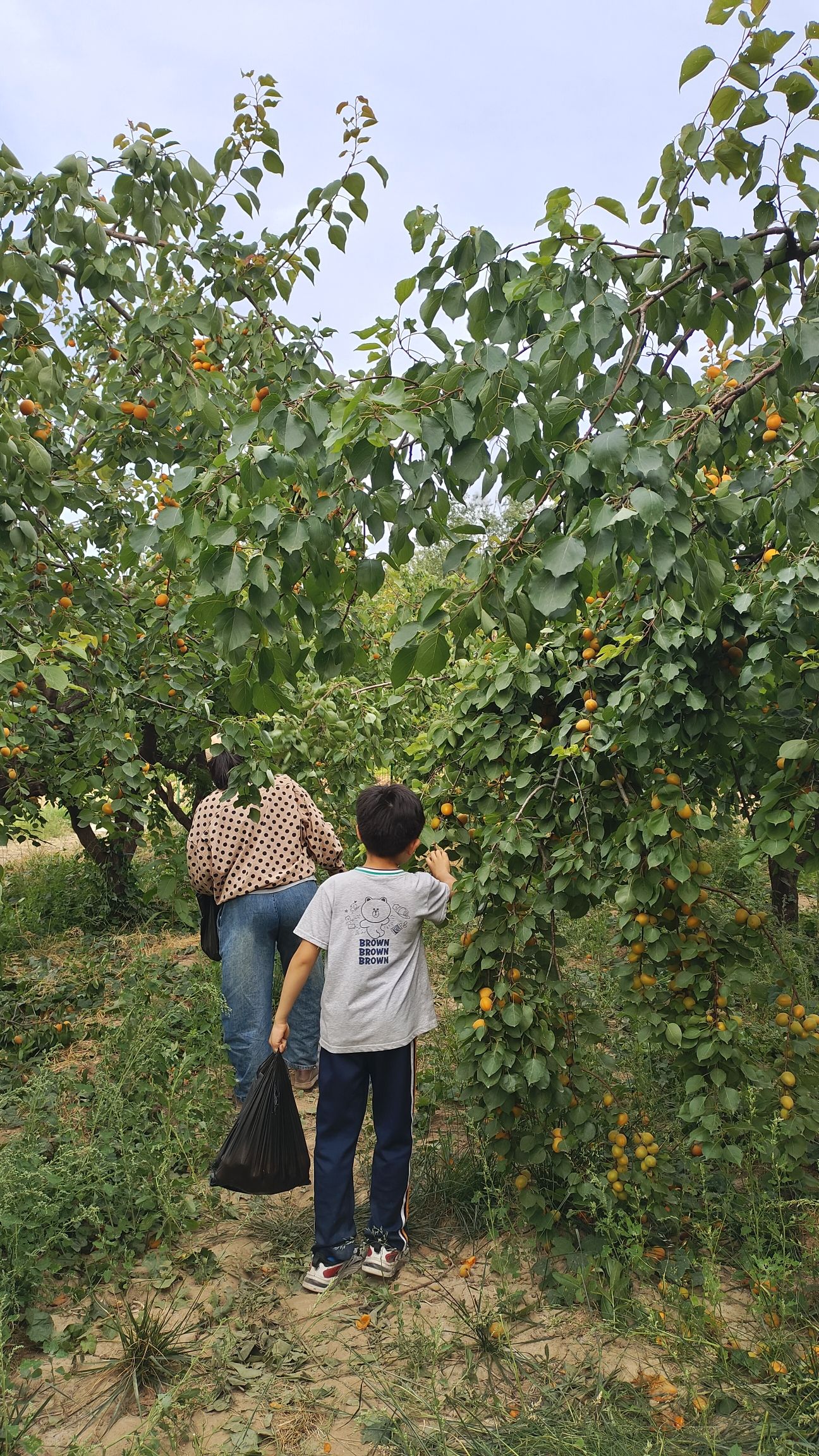 南乐森林公园旅行图片 3