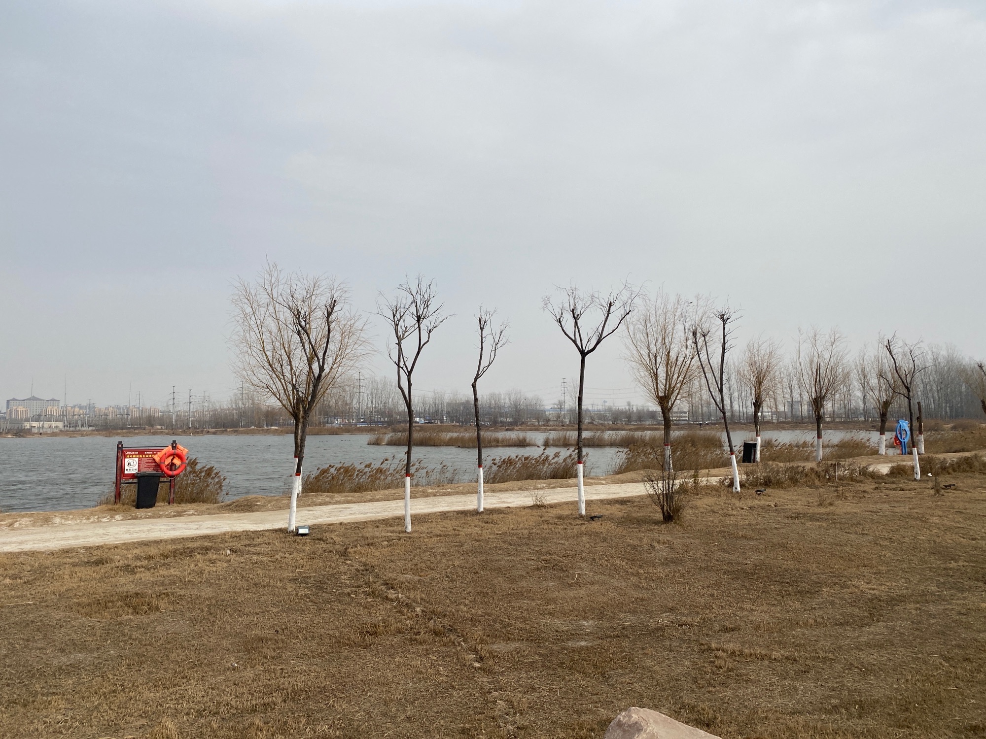 凤鸣湖湿地公园旅行图片 1