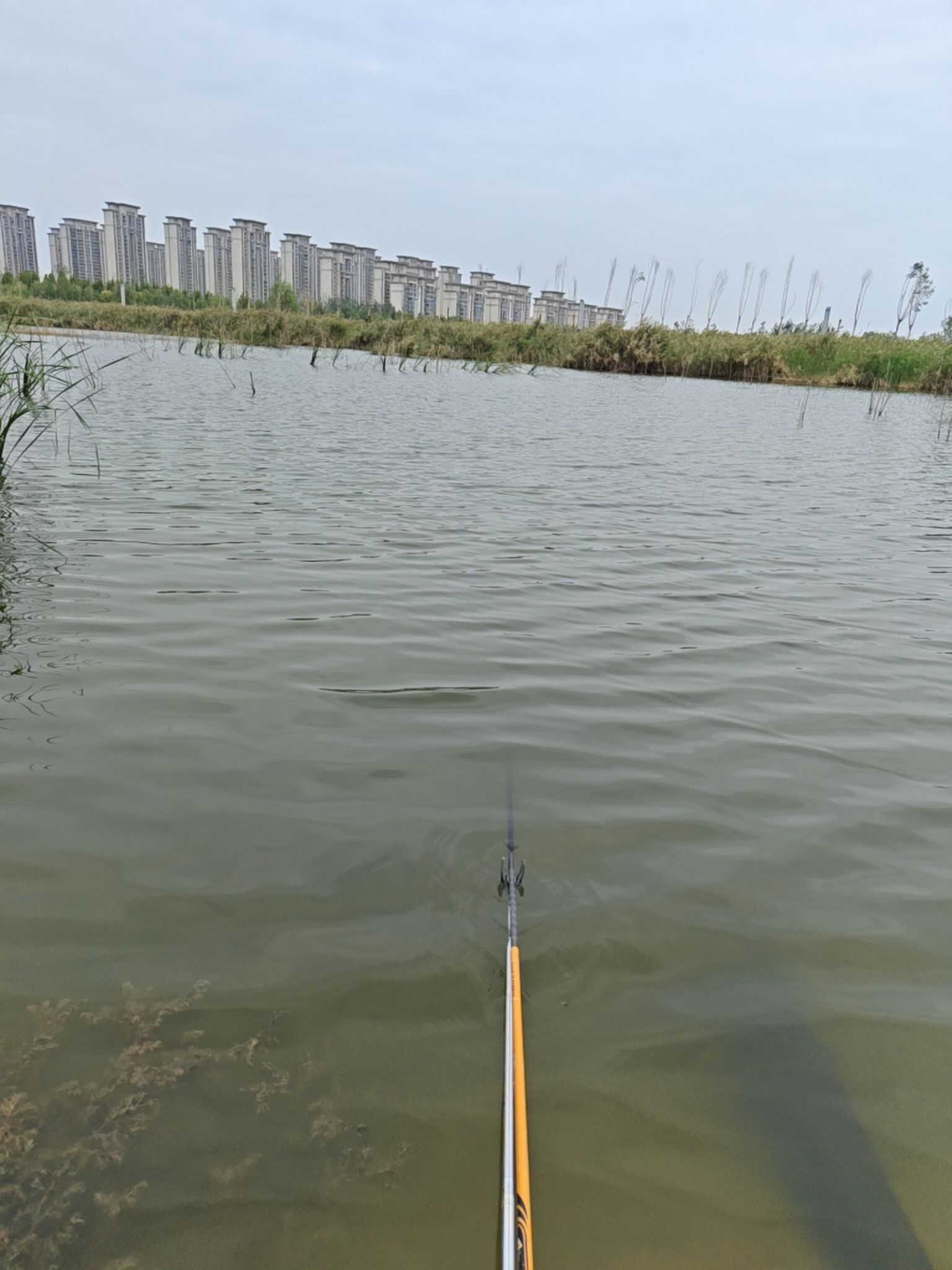 凤鸣湖湿地公园旅行图片 1