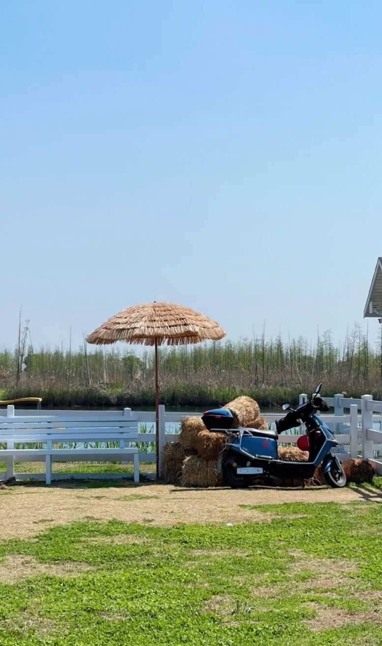葛南板穆阳桃花岛旅行图片 2