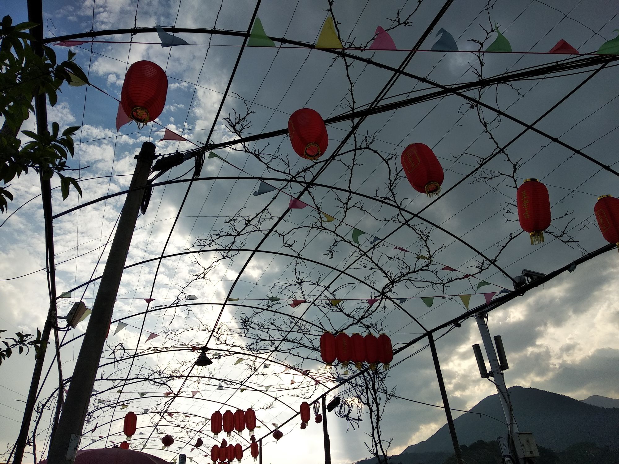 葛南板穆阳桃花岛旅行图片 1