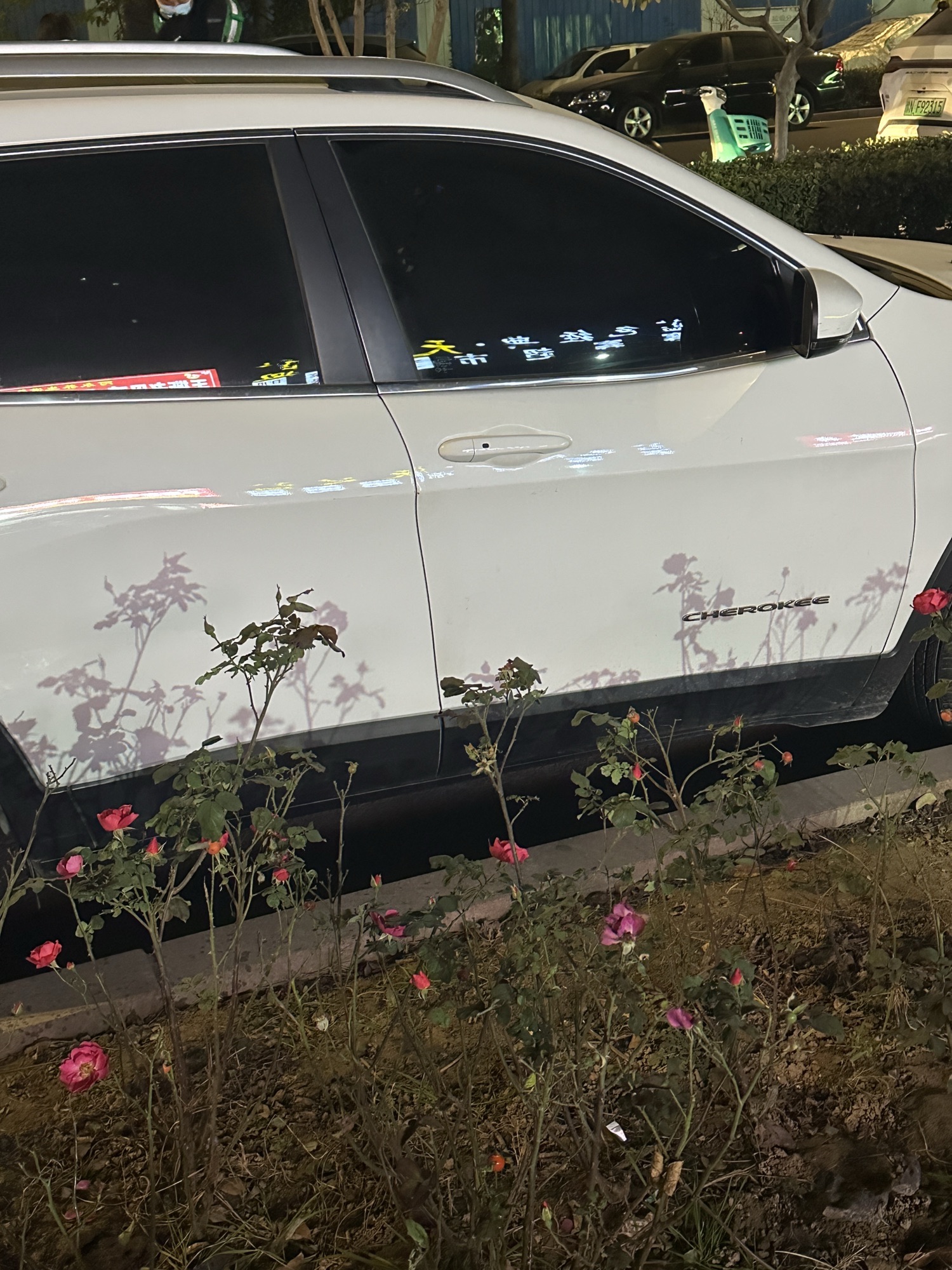 商丘日月河景区旅行图片 1