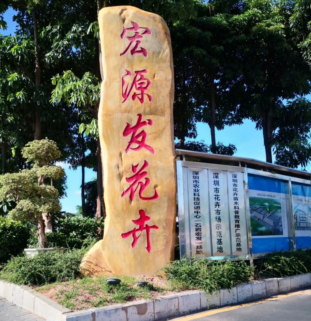 宏源发花卉苗木产业园