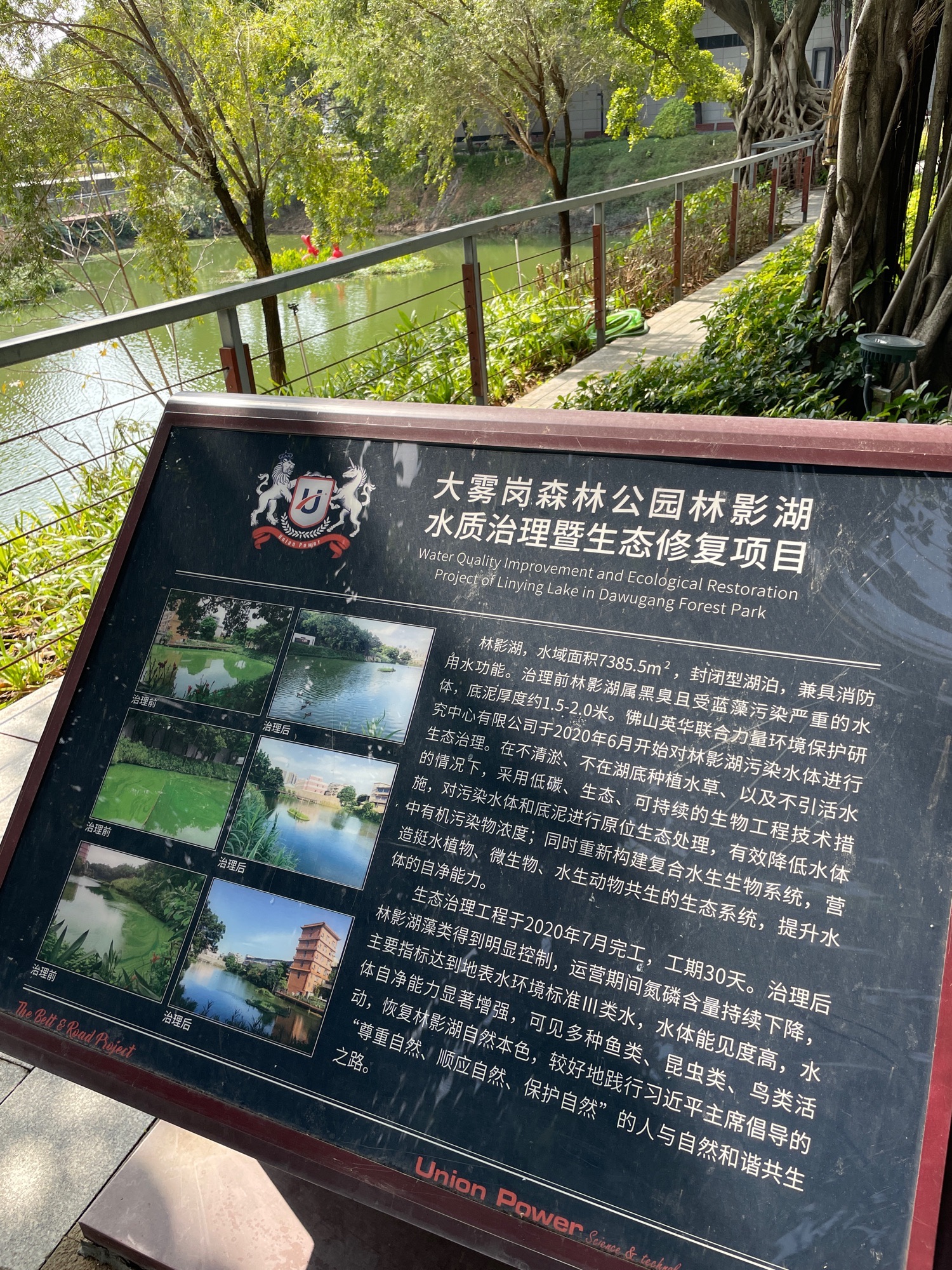 大雾岗森林公园旅行图片 1