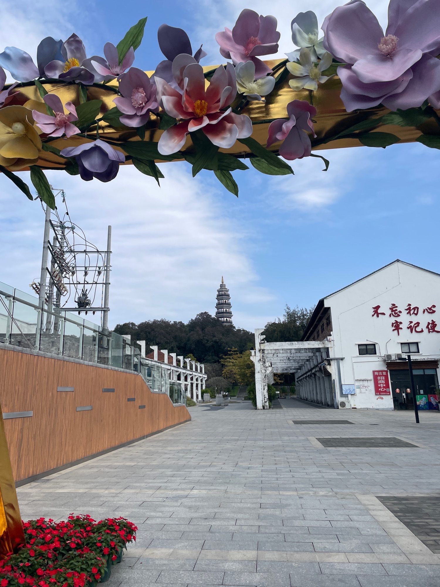 大雾岗森林公园旅行图片 3