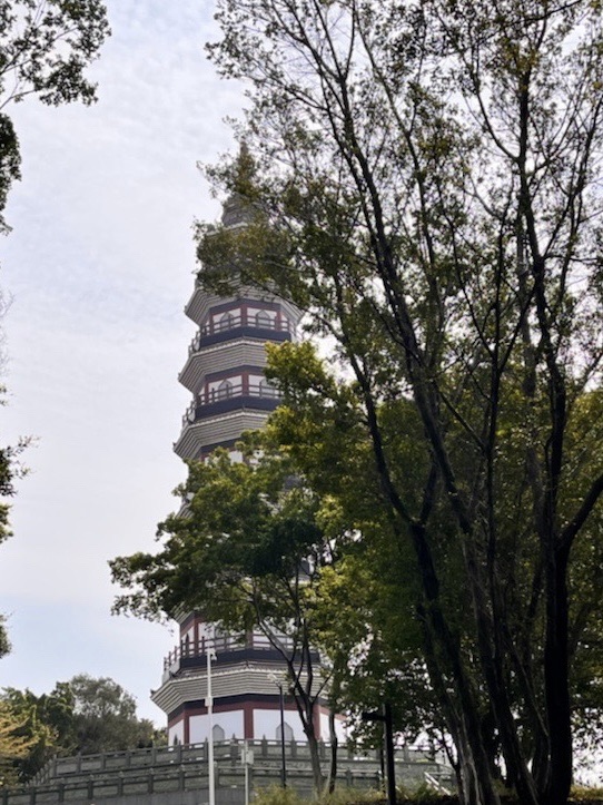 大雾岗森林公园旅行图片 2