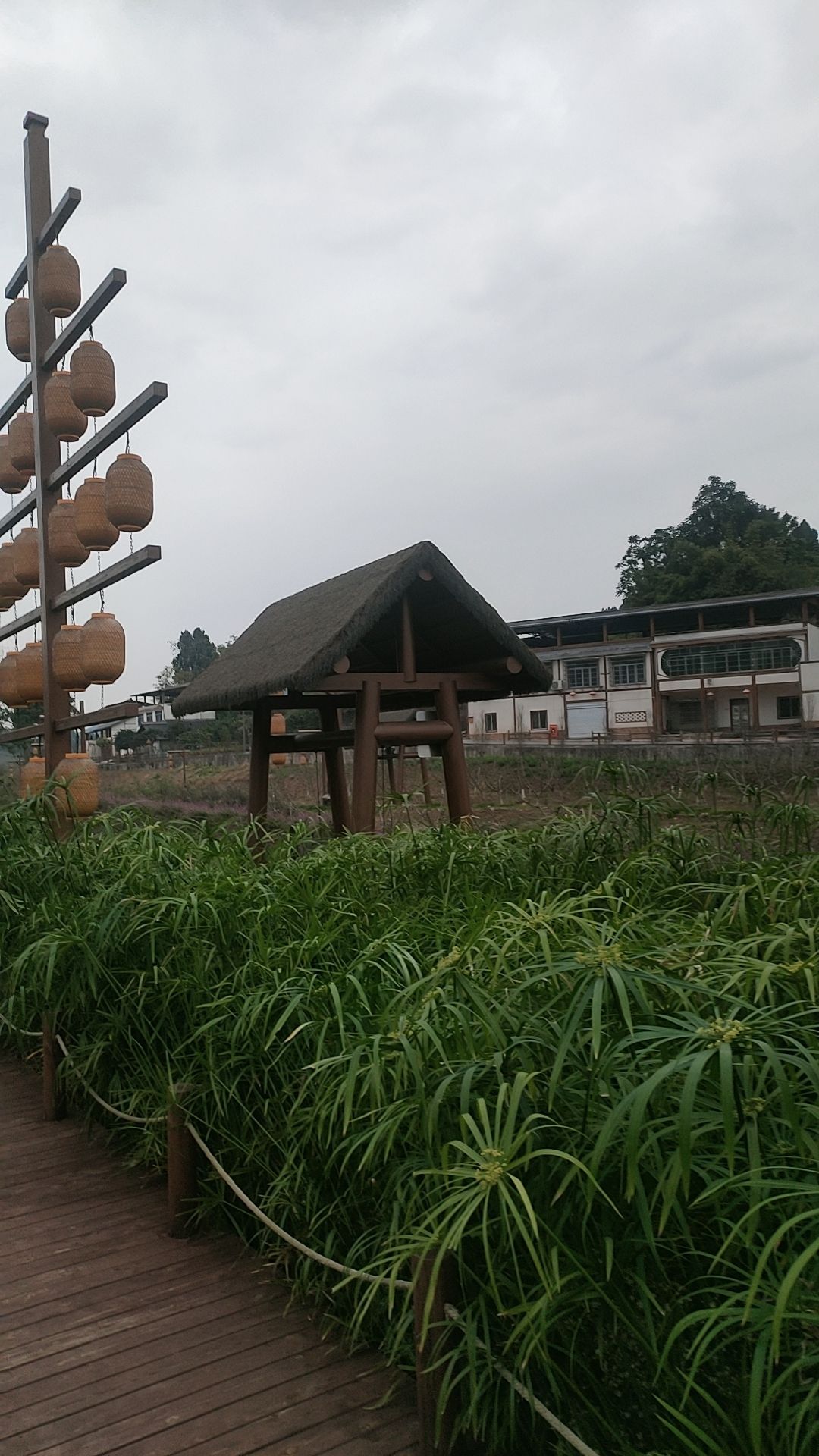 卓筒井遗址旅行图片 1