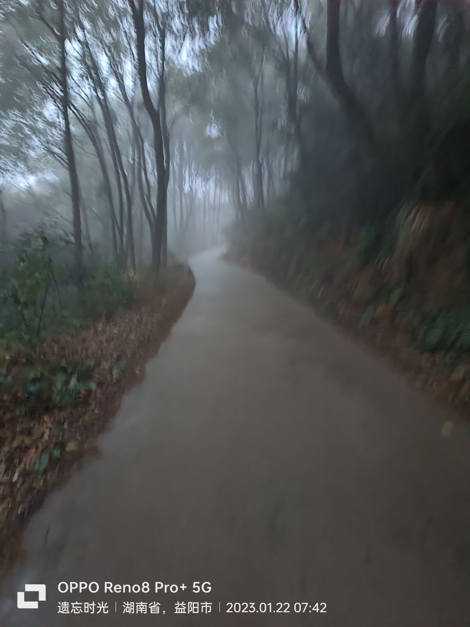 司公庵旅行图片 3