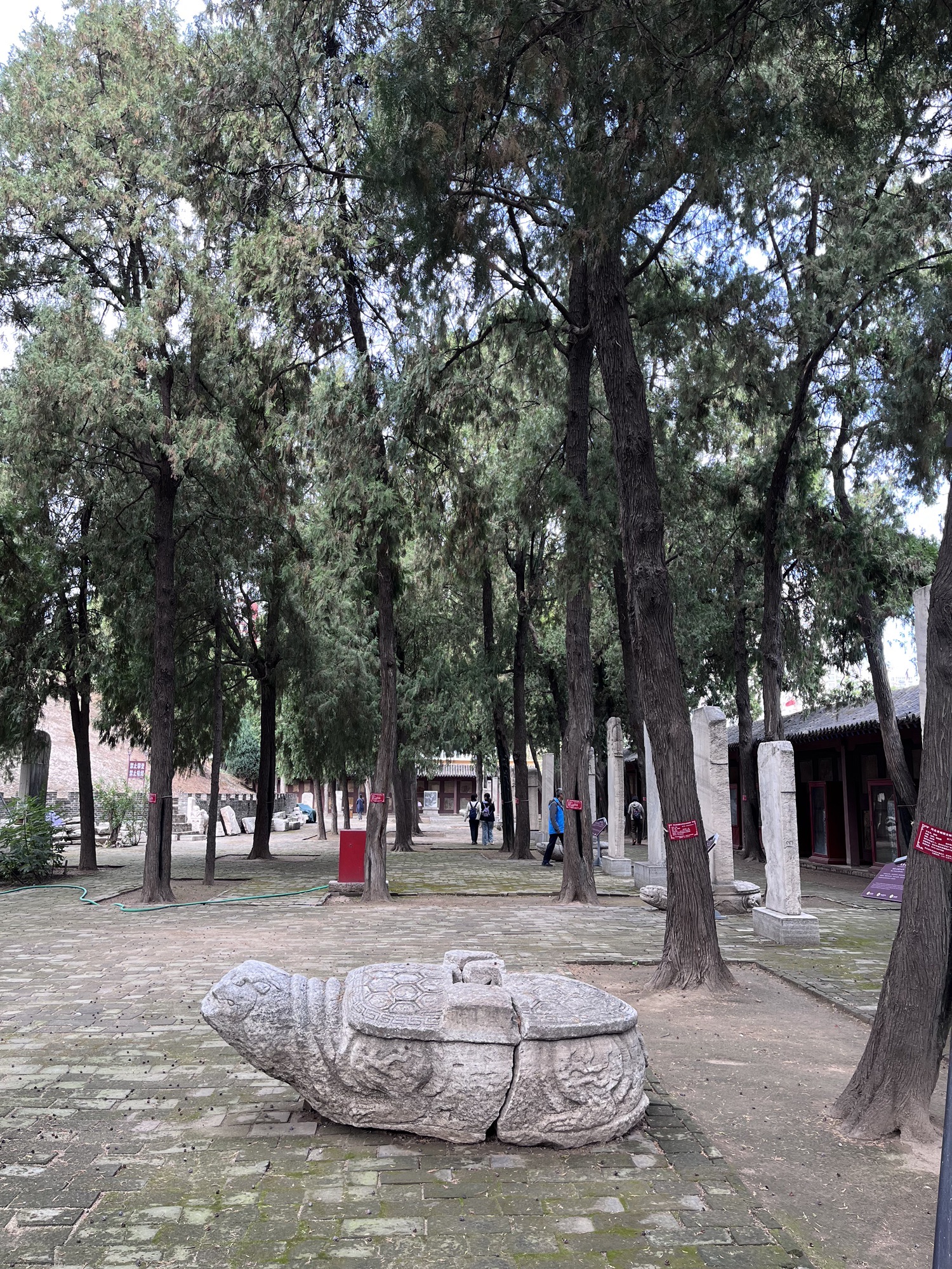 中山汉墓旅行图片 3