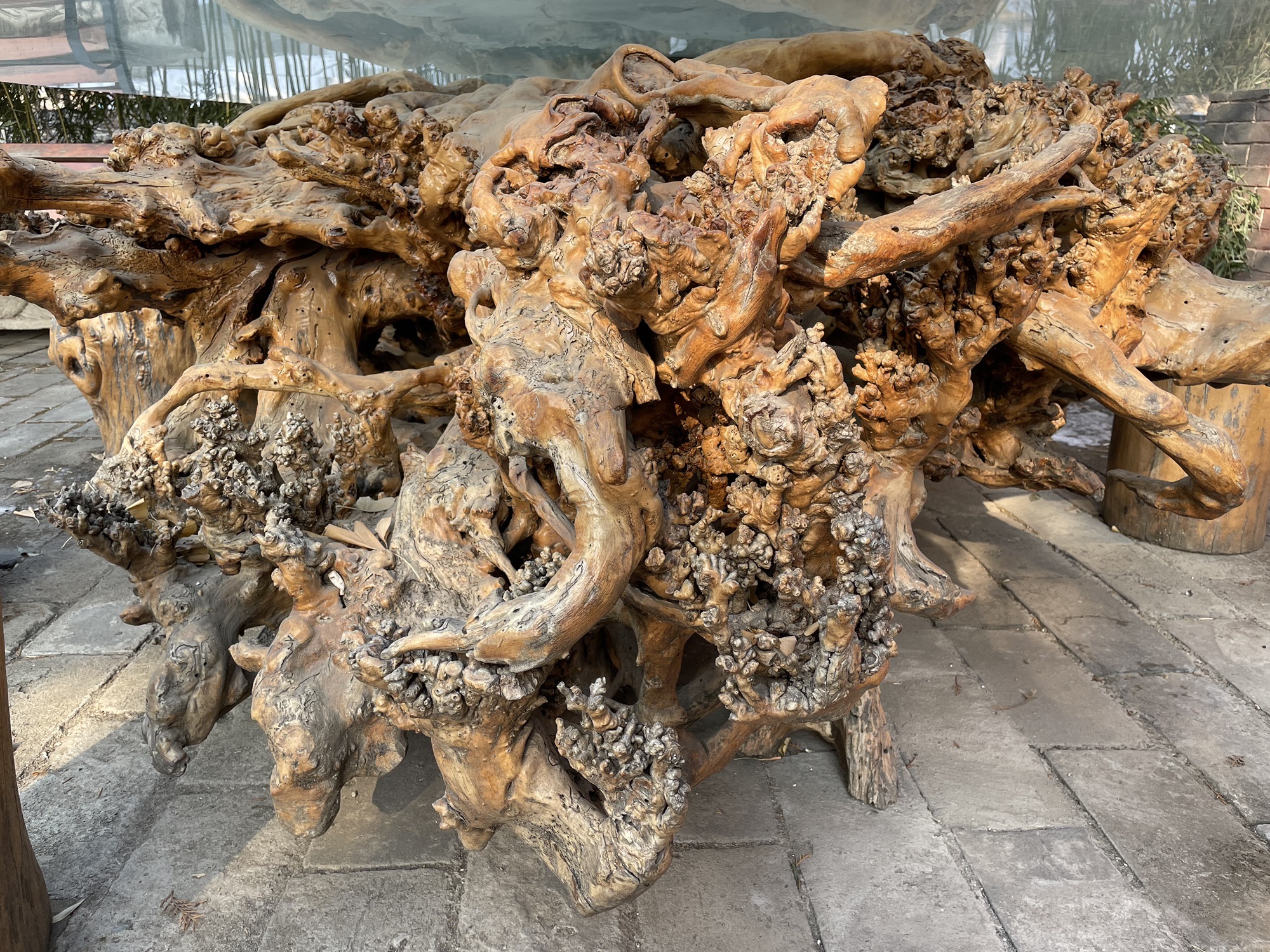 中山汉墓旅行图片 2