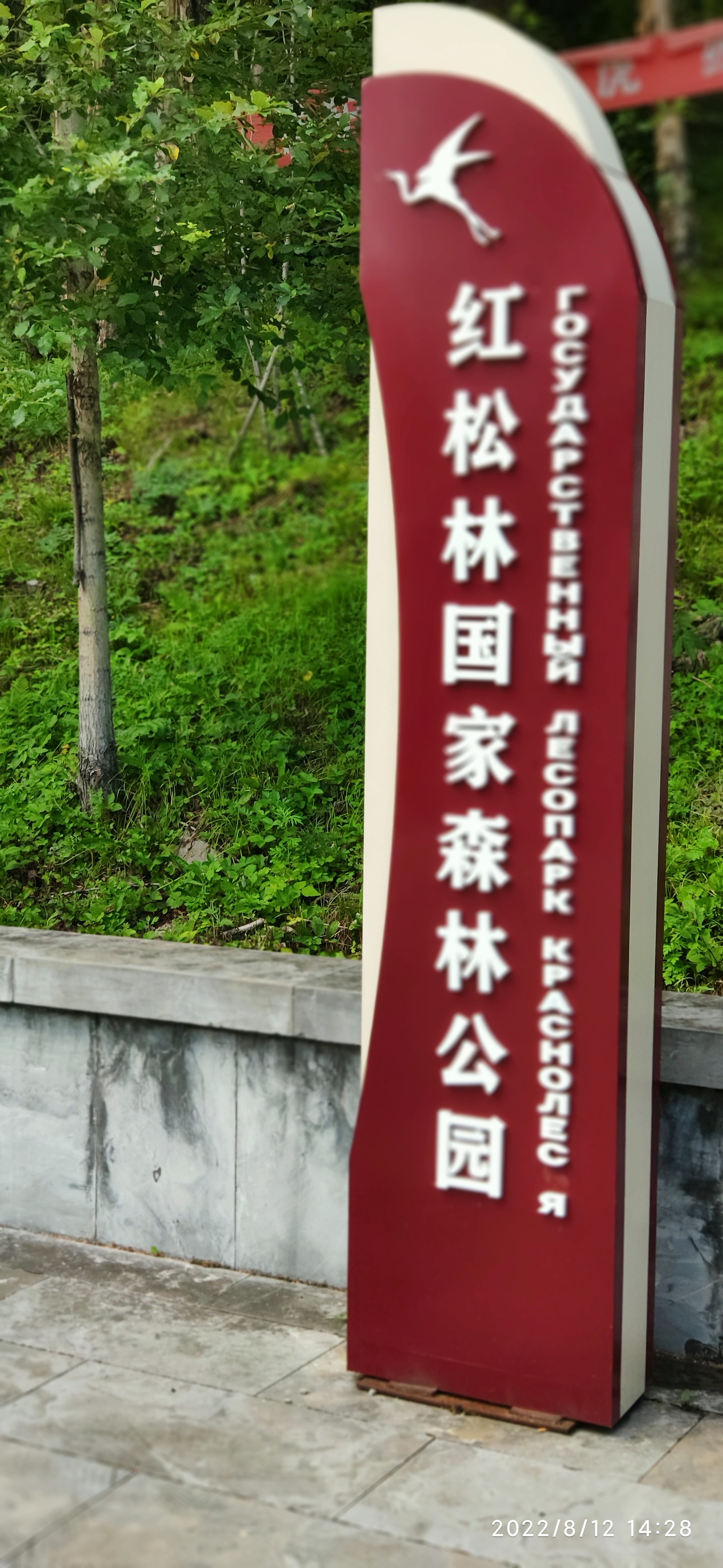 鹤北红松林国家森林公园旅行图片 1