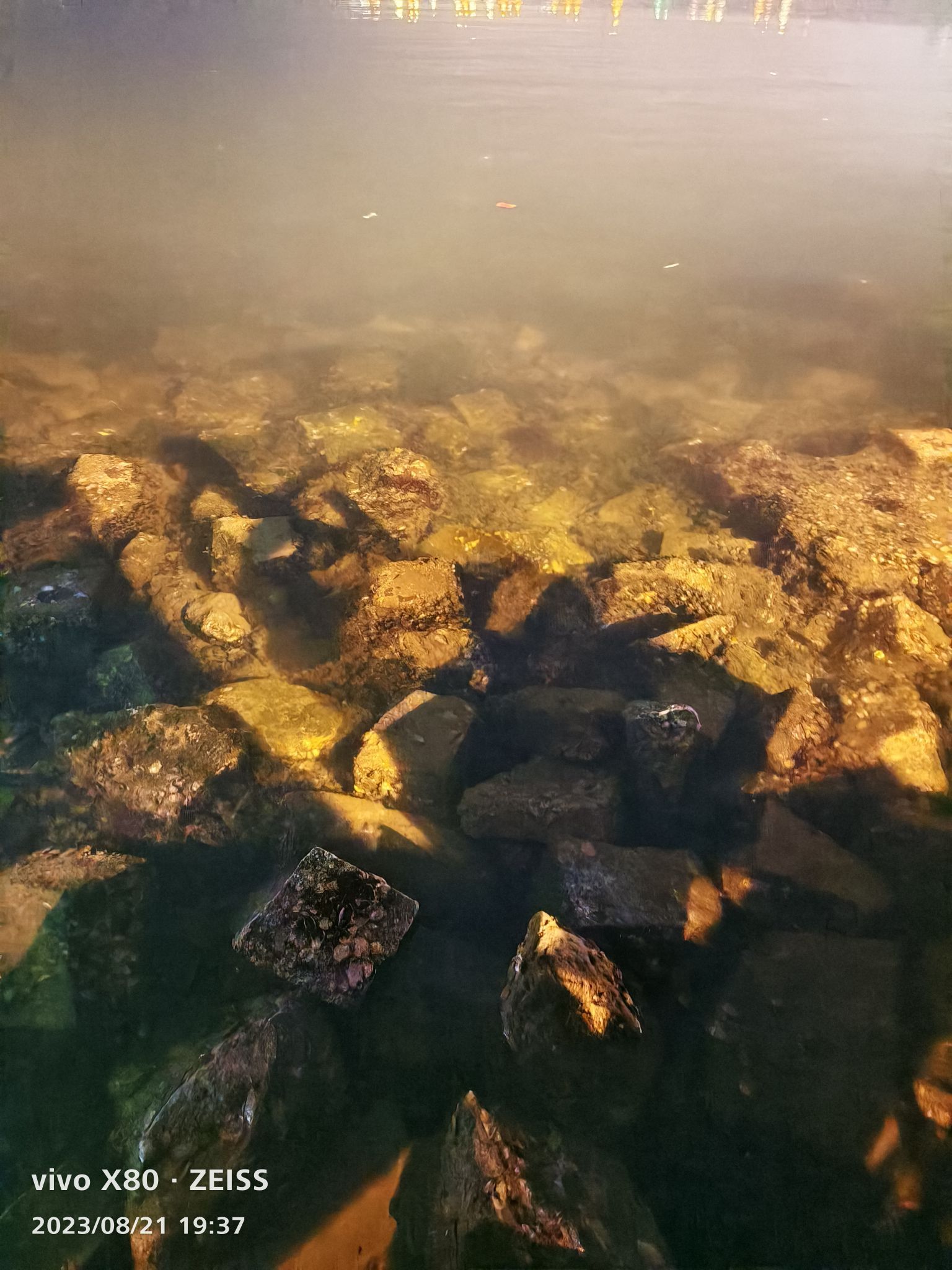 海滨公园旅行图片 1