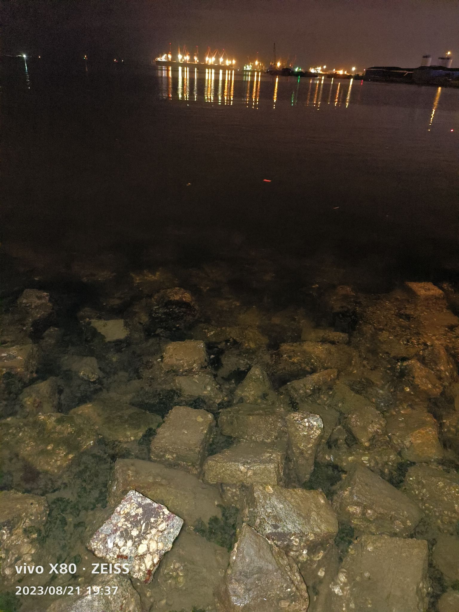 海滨公园旅行图片 3