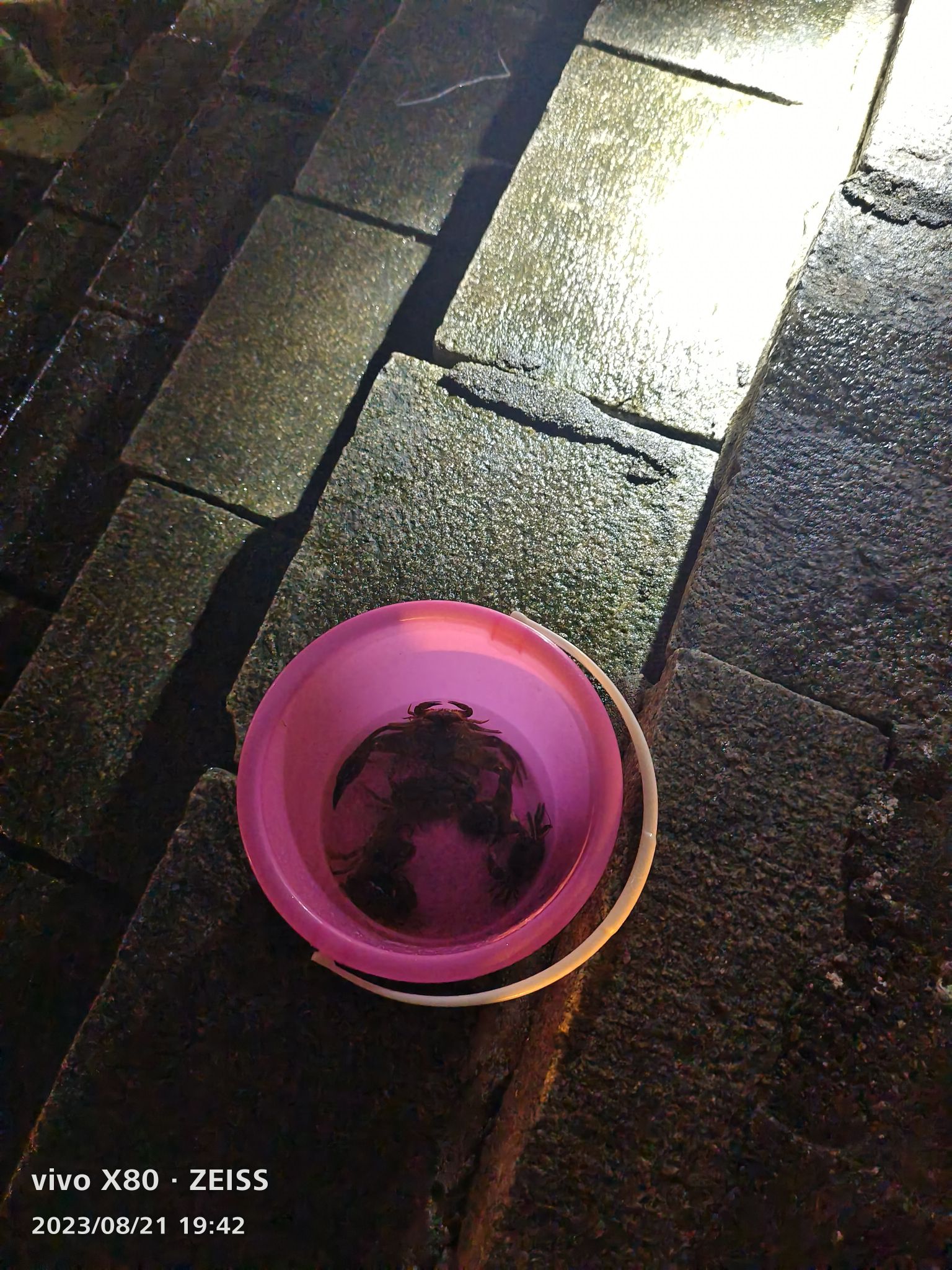 海滨公园旅行图片 2