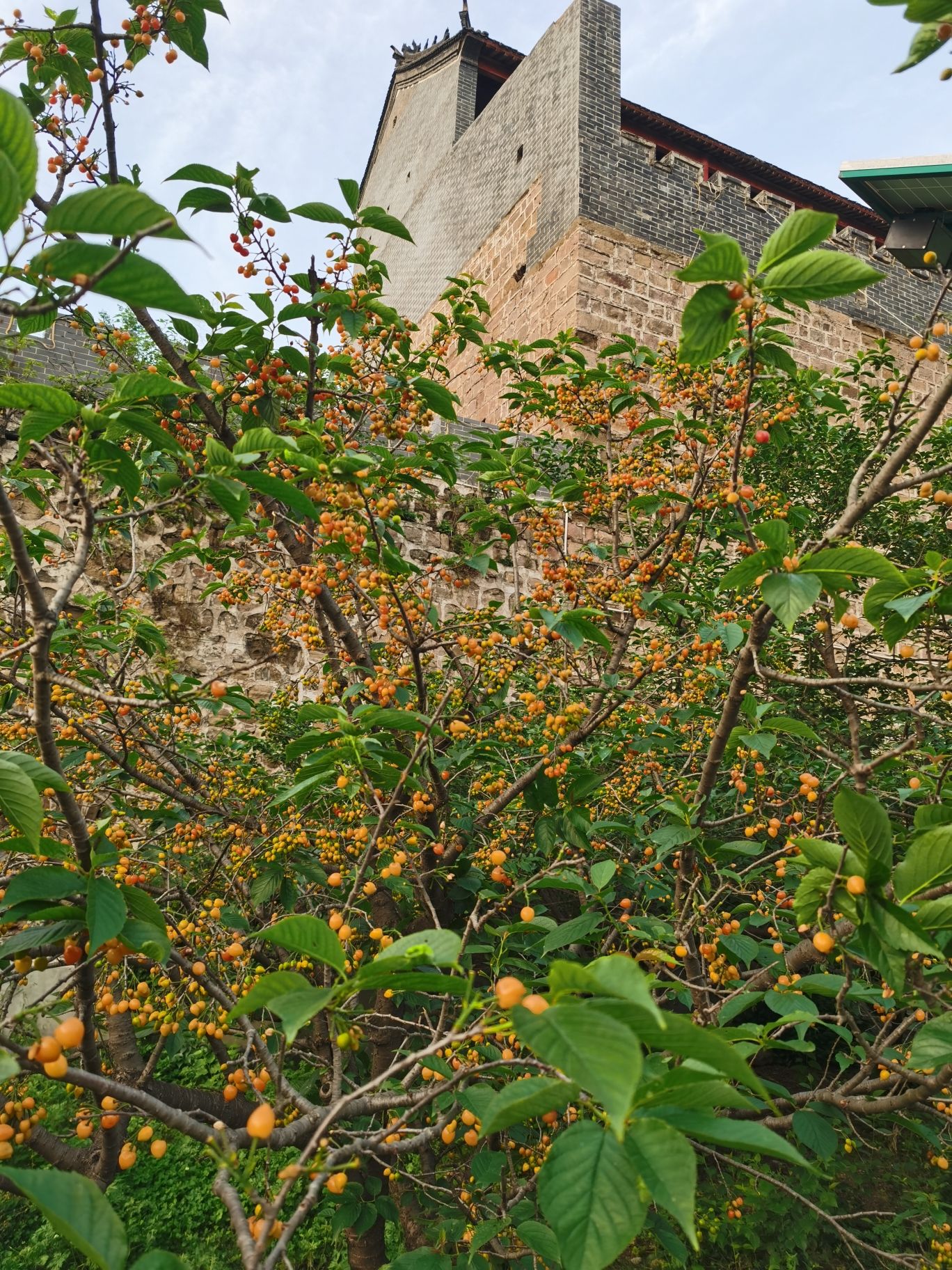 大风口景区旅行图片 3