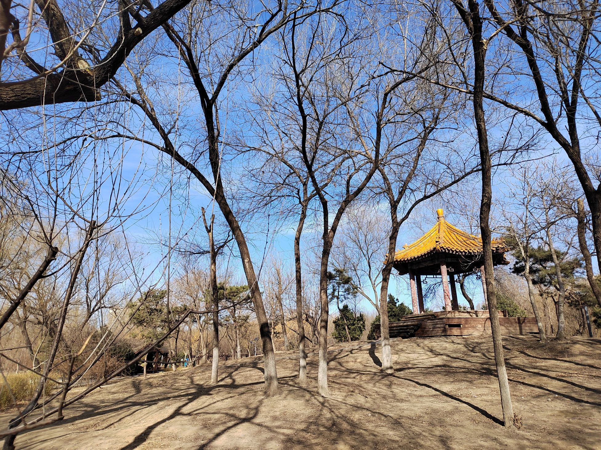 京城森林公园旅行图片 3